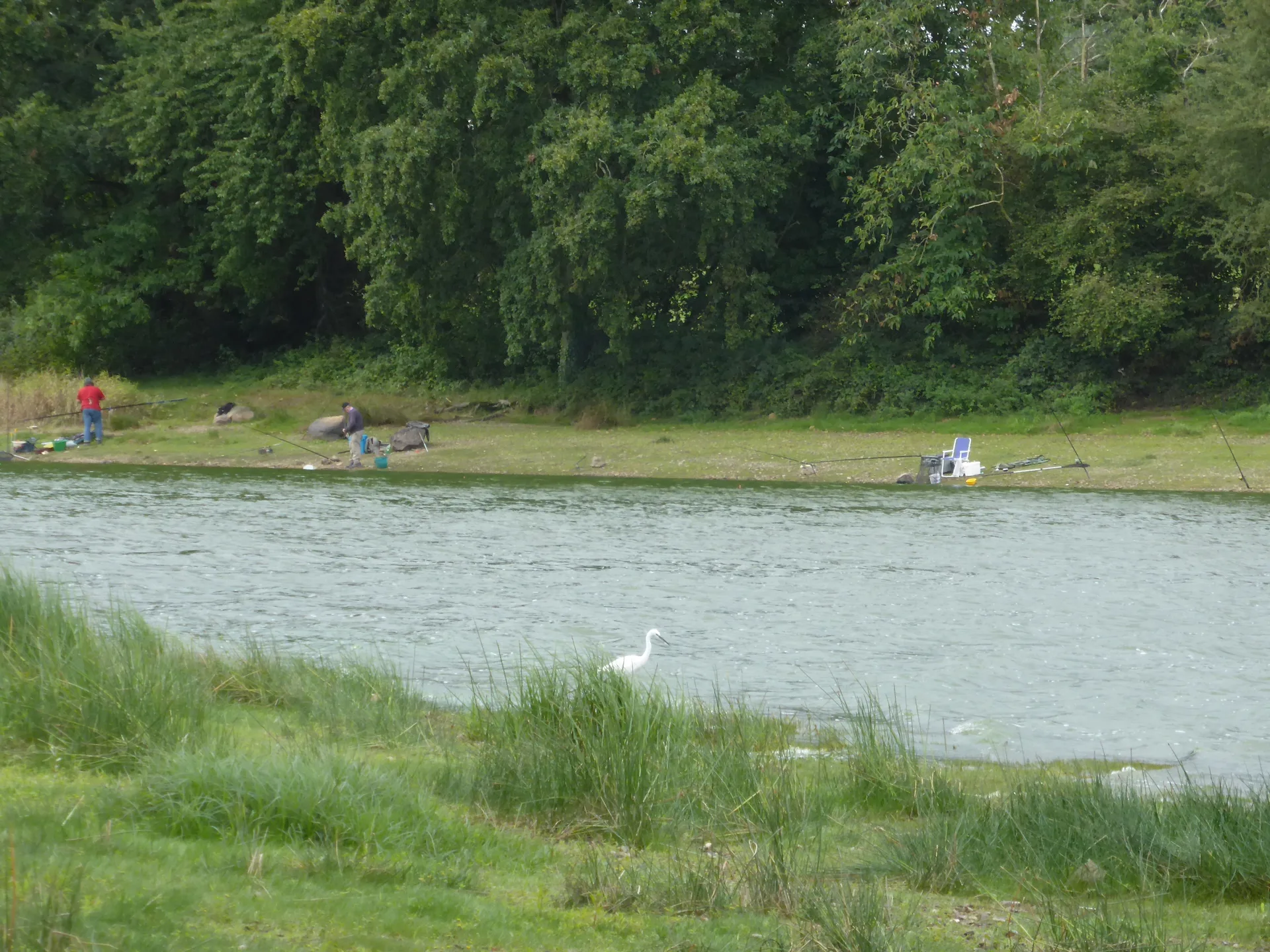 Etang de Chatillon en vendelais à Châtillon-en-Vendelais — À 512 m du lac