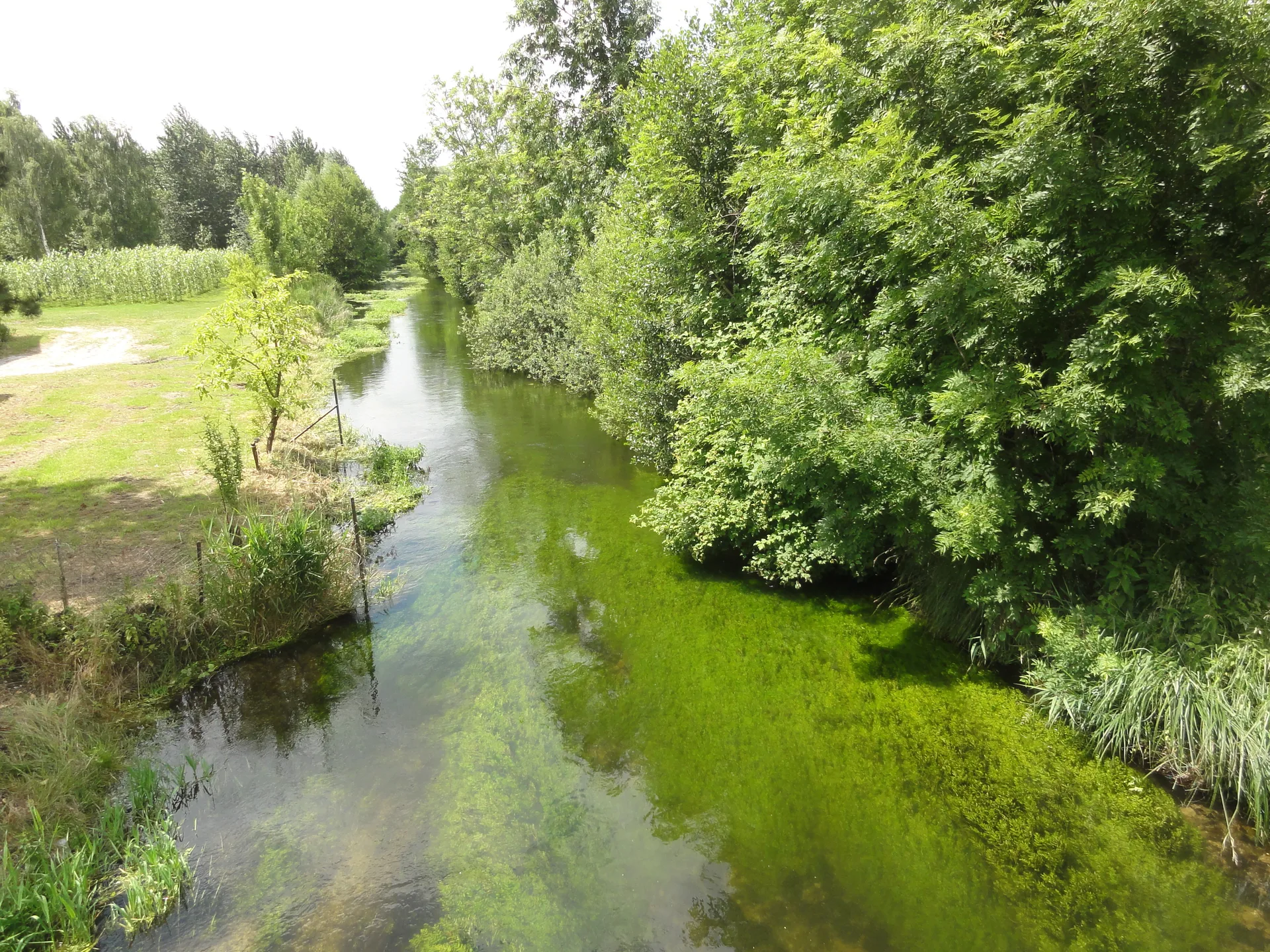 Etang de Chivres à Mâchecourt — À 3,0 km du lac