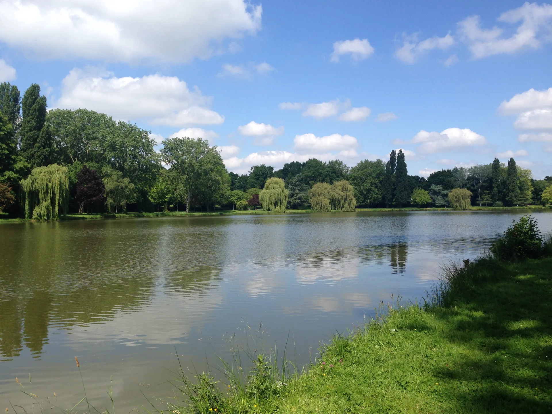 Etang de Choisel à Châteaubriant — À 248 m du lac