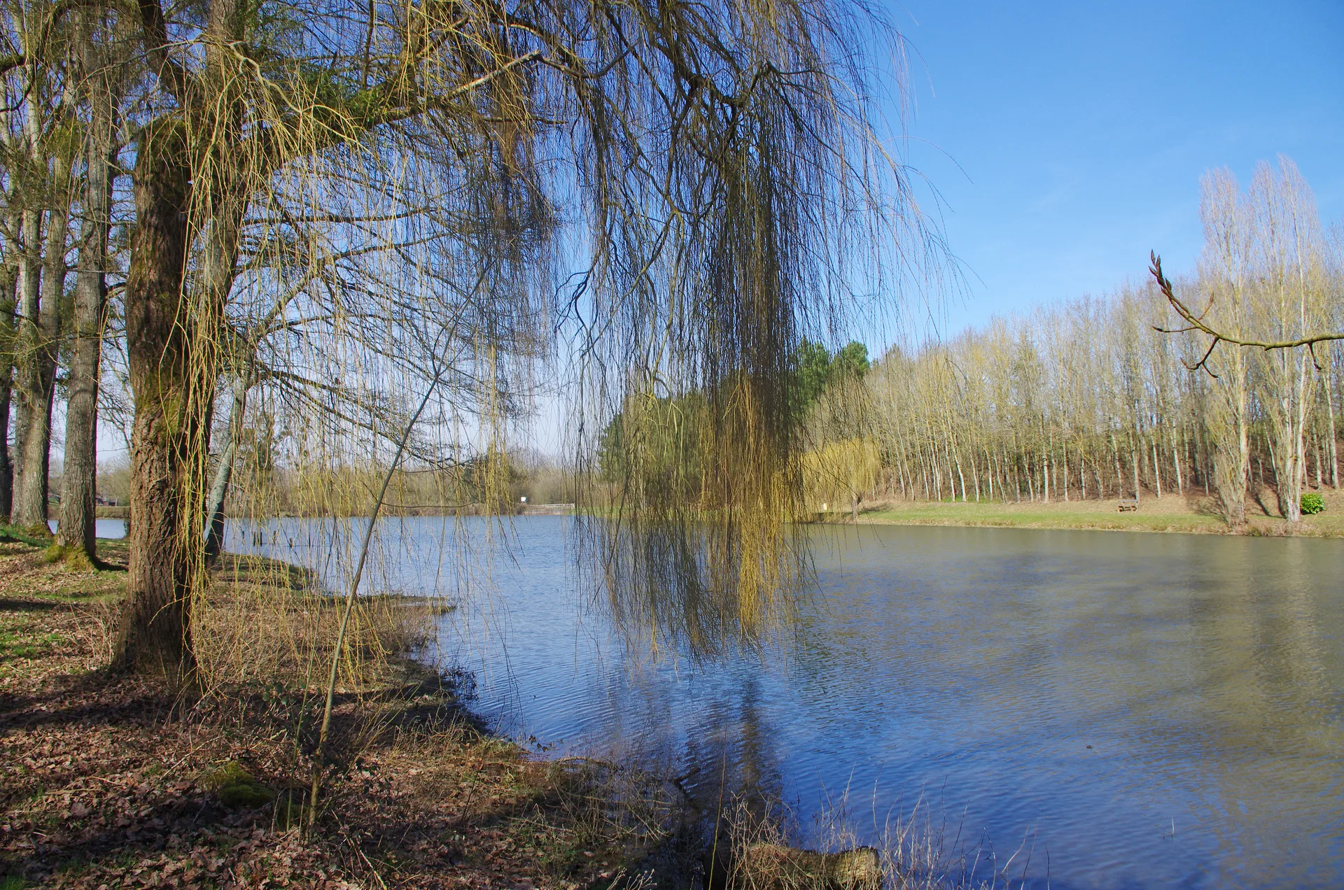Etang de Choue à Choue — Sur le lac