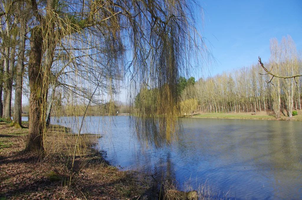 Etang de Choue, Choue