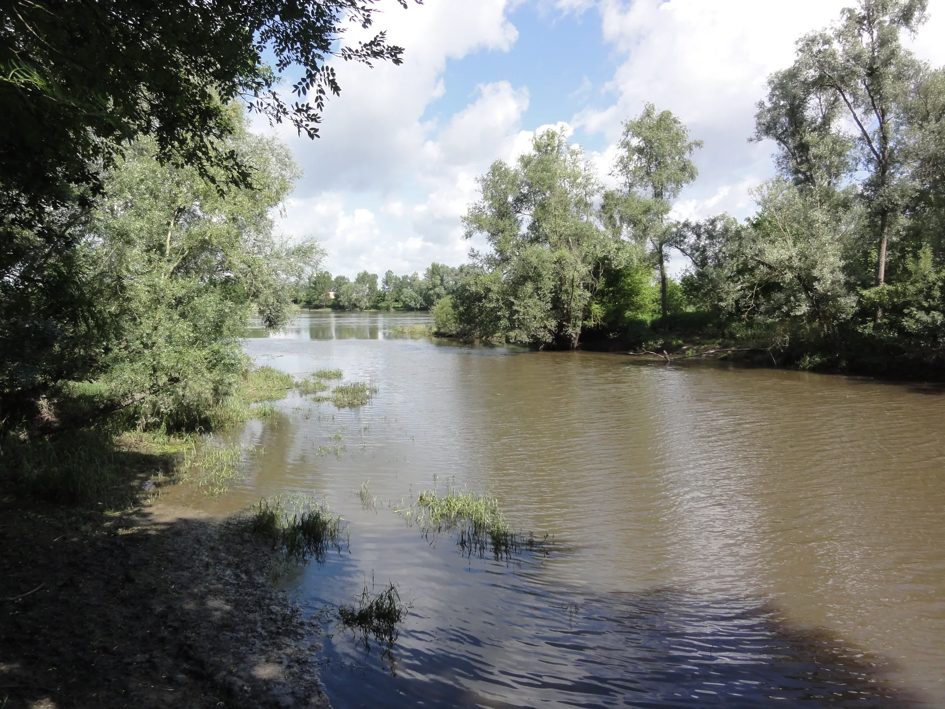 Etang de Chouzy-sur-Cisse à Valloire-sur-Cisse — À 689 m du lac