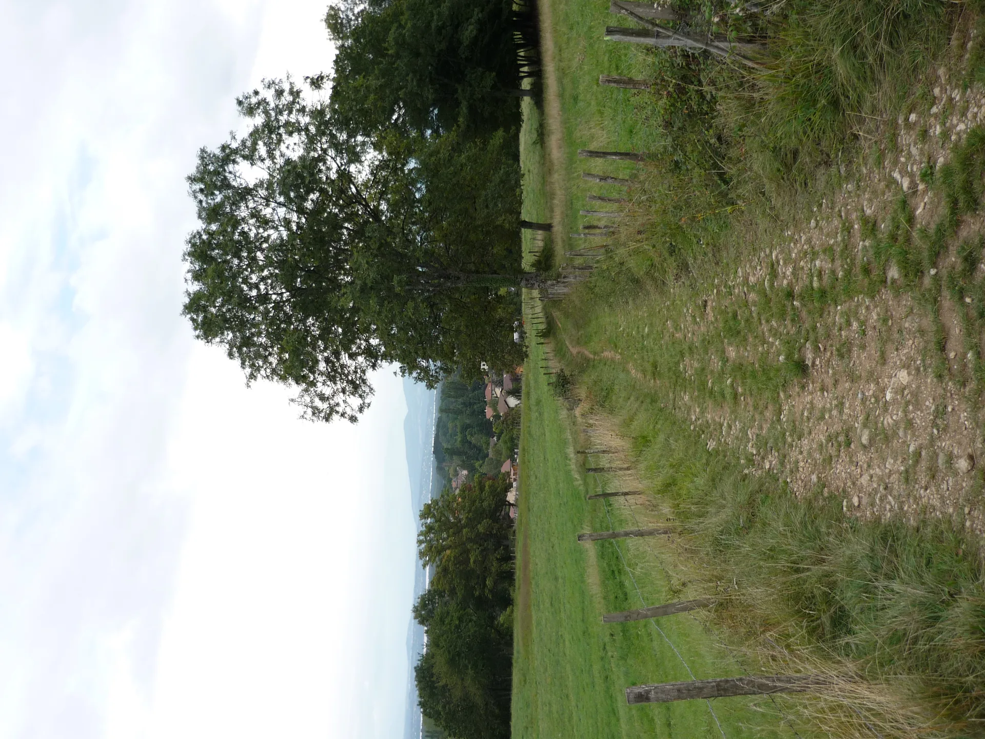 Etang de Divonne à Grilly — À 1,3 km du lac