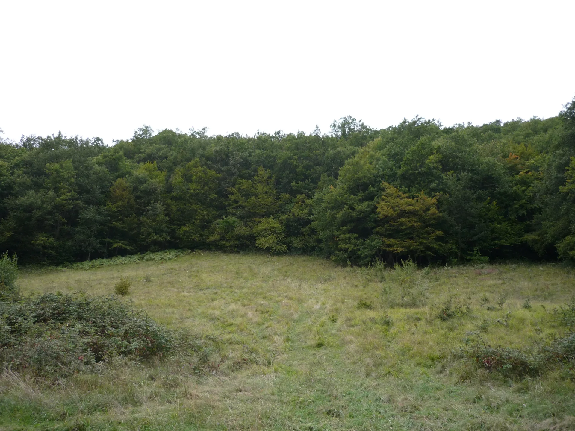 Etang de Divonne à Grilly — À 1,3 km du lac
