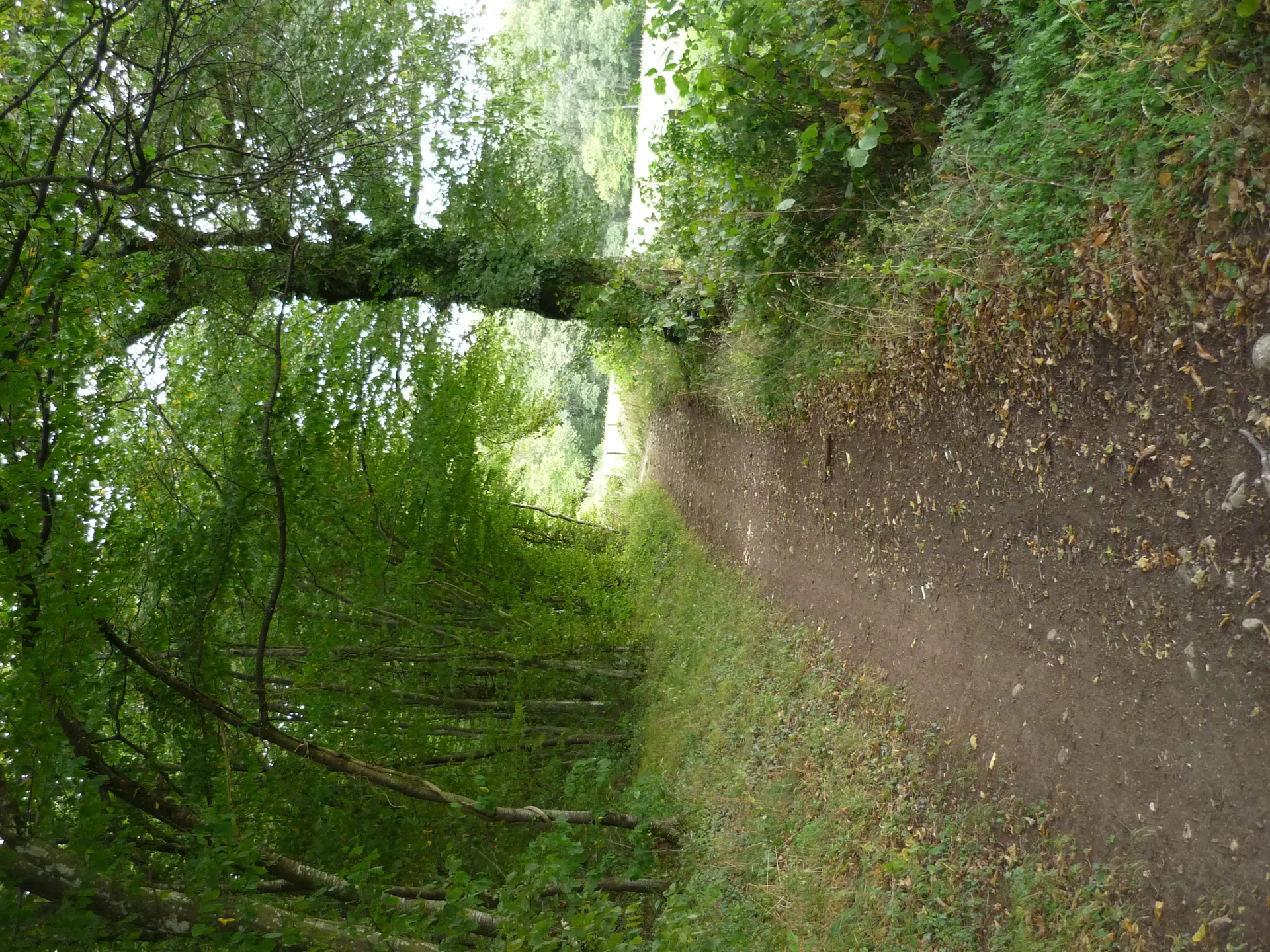 Etang de Divonne à Grilly — À 1,3 km du lac