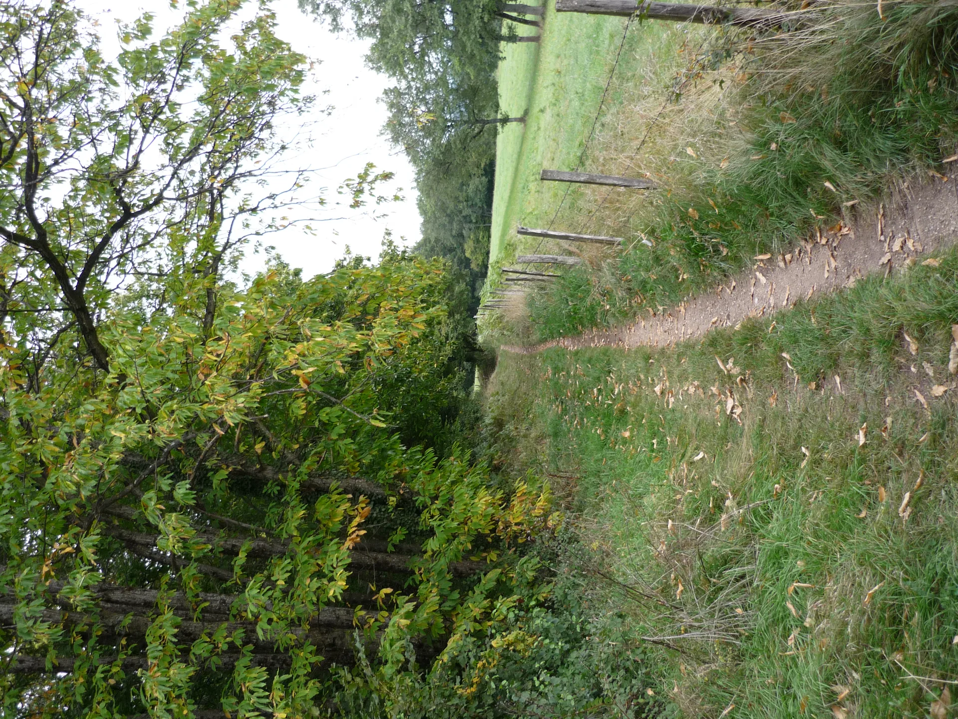 Etang de Divonne à Grilly — À 1,3 km du lac