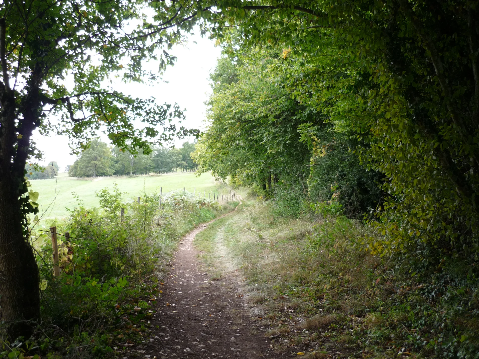 Etang de Divonne à Grilly — À 1,3 km du lac