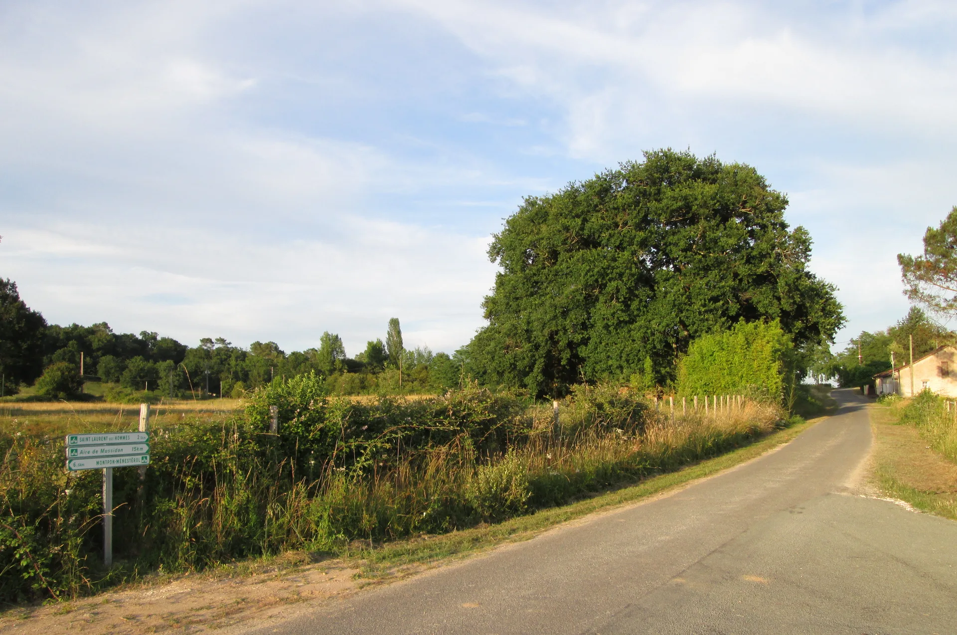 Etang de Farganaud à Saint-Laurent-des-Hommes — À 2,8 km du lac
