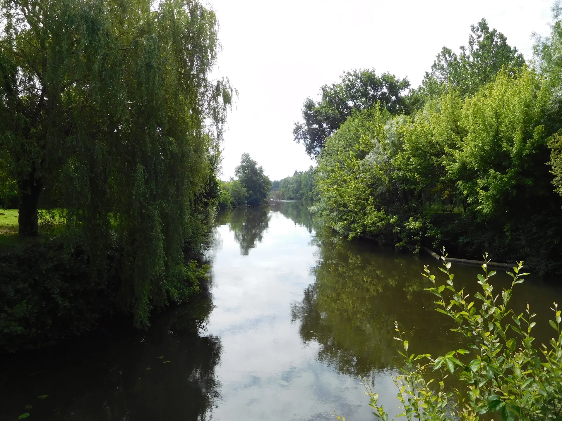 Etang de Farganaud à Saint-Laurent-des-Hommes — À 3,0 km du lac