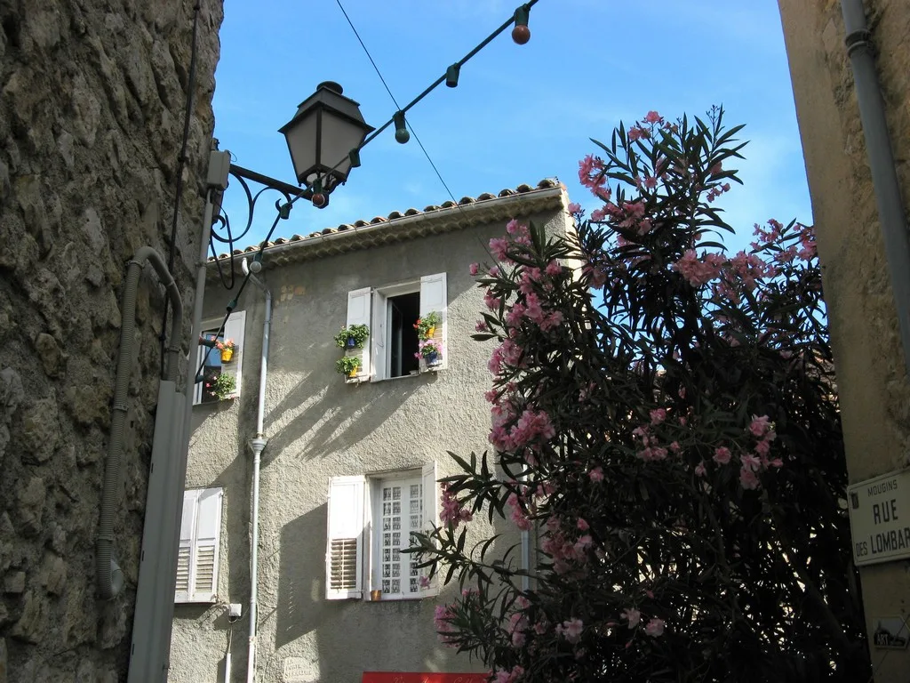 Etang de Fontmerle à Mougins — À 2,0 km du lac
