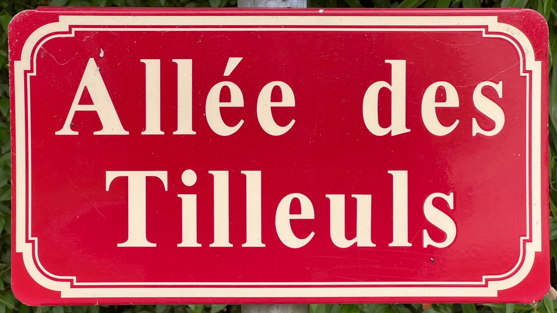 Etang de Fremotin à Branges — À 2,2 km du lac