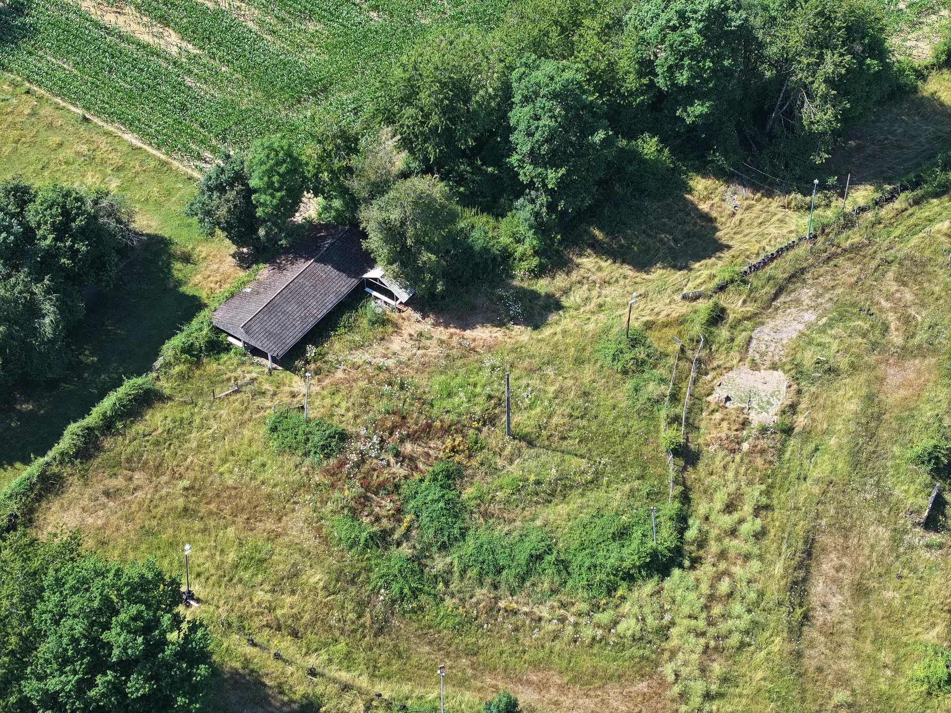 Etang de Frotey les Lure à Frotey-lès-Lure — À 390 m du lac