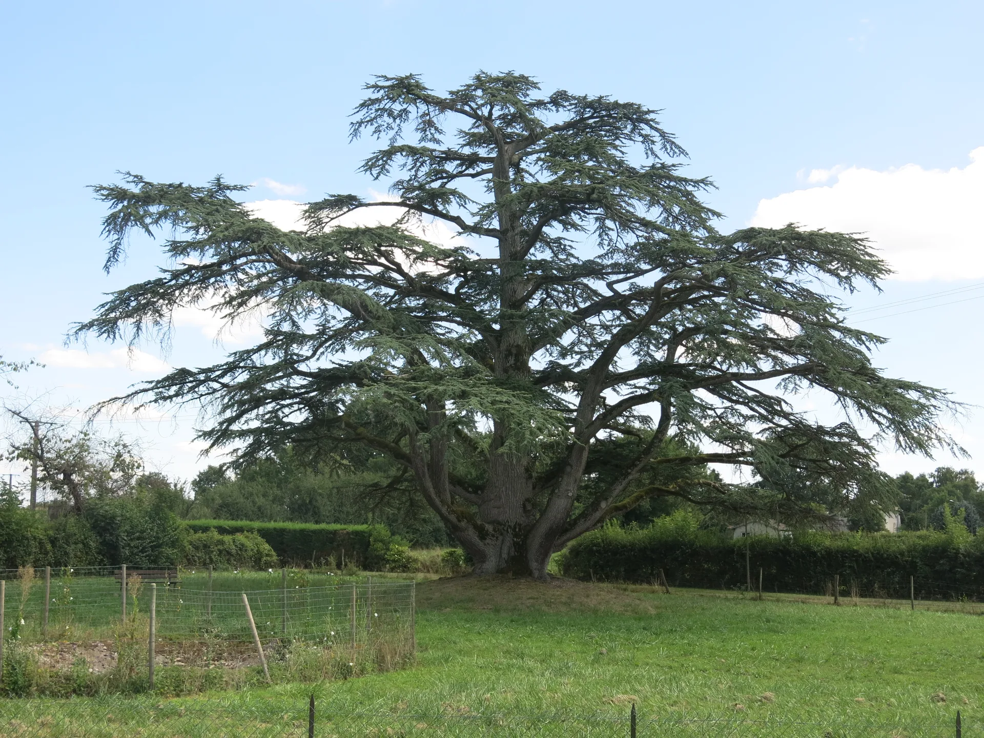 Etang de Ganay à Cuisery — À 2,2 km du lac