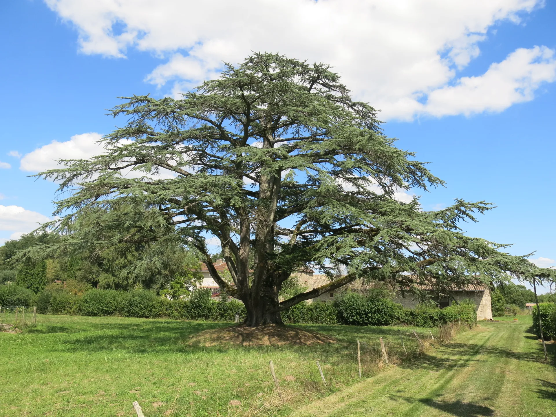 Etang de Ganay à Cuisery — À 2,2 km du lac