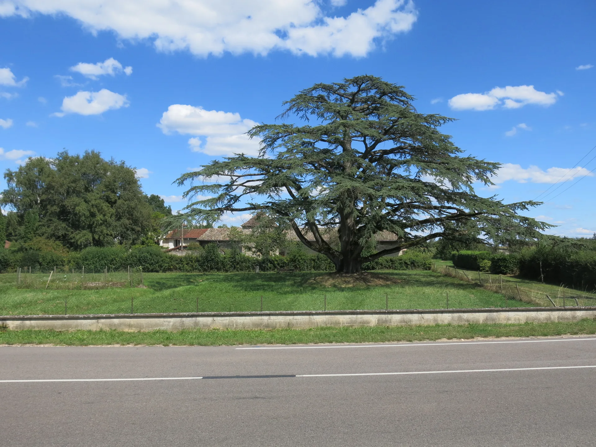 Etang de Ganay à Cuisery — À 2,2 km du lac