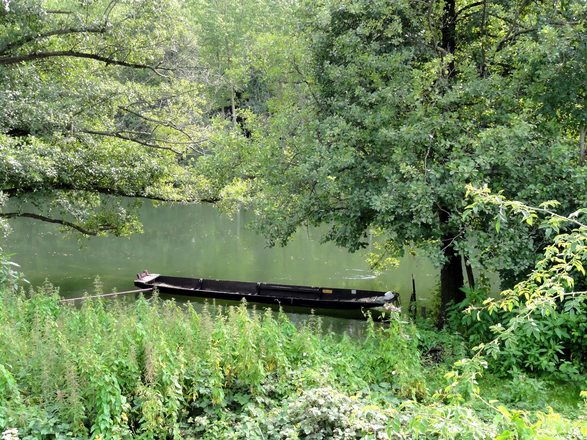 Etang de Gerig à Ostwald — À 323 m du lac