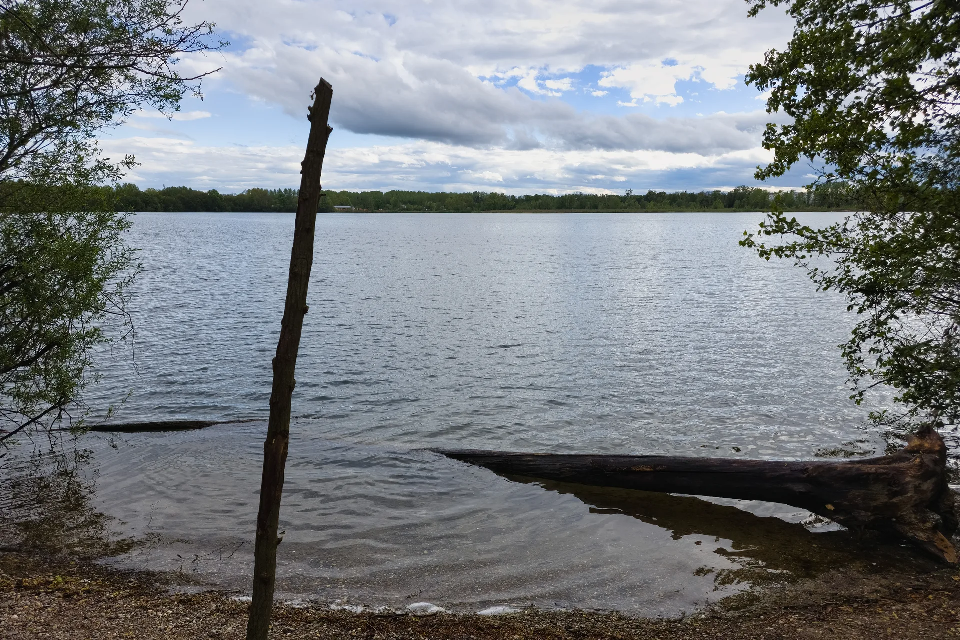 Etang de Gerig à Ostwald — À 945 m du lac