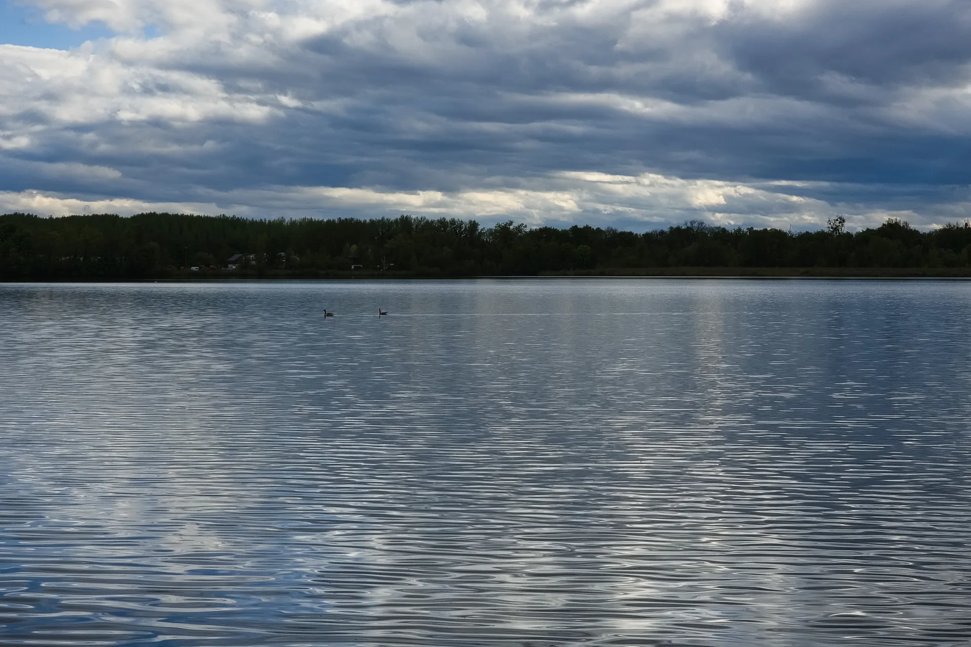 Etang de Gerig à Ostwald — À 916 m du lac