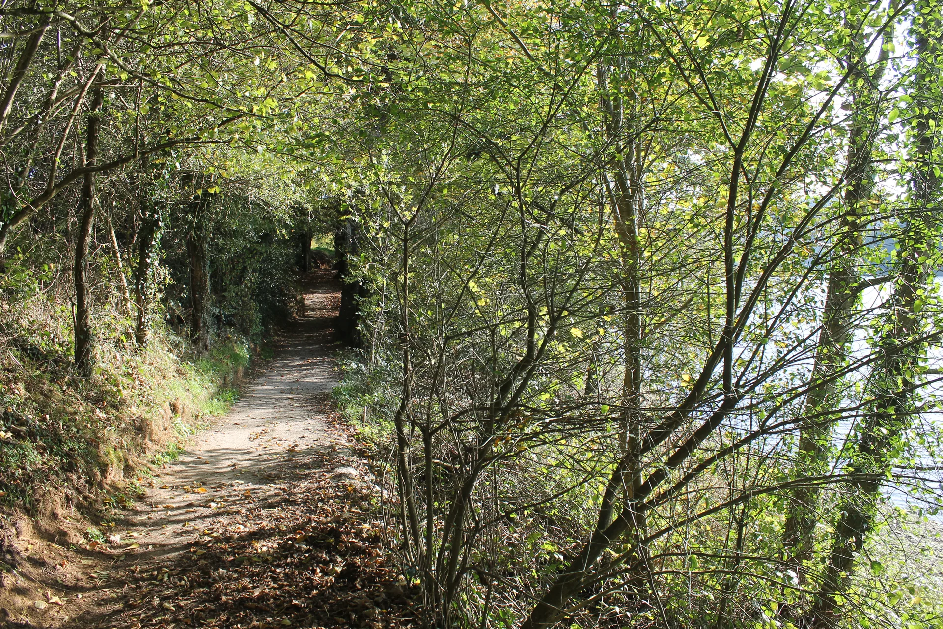 Etang de Gourveau à Le Bodéo — À 836 m du lac