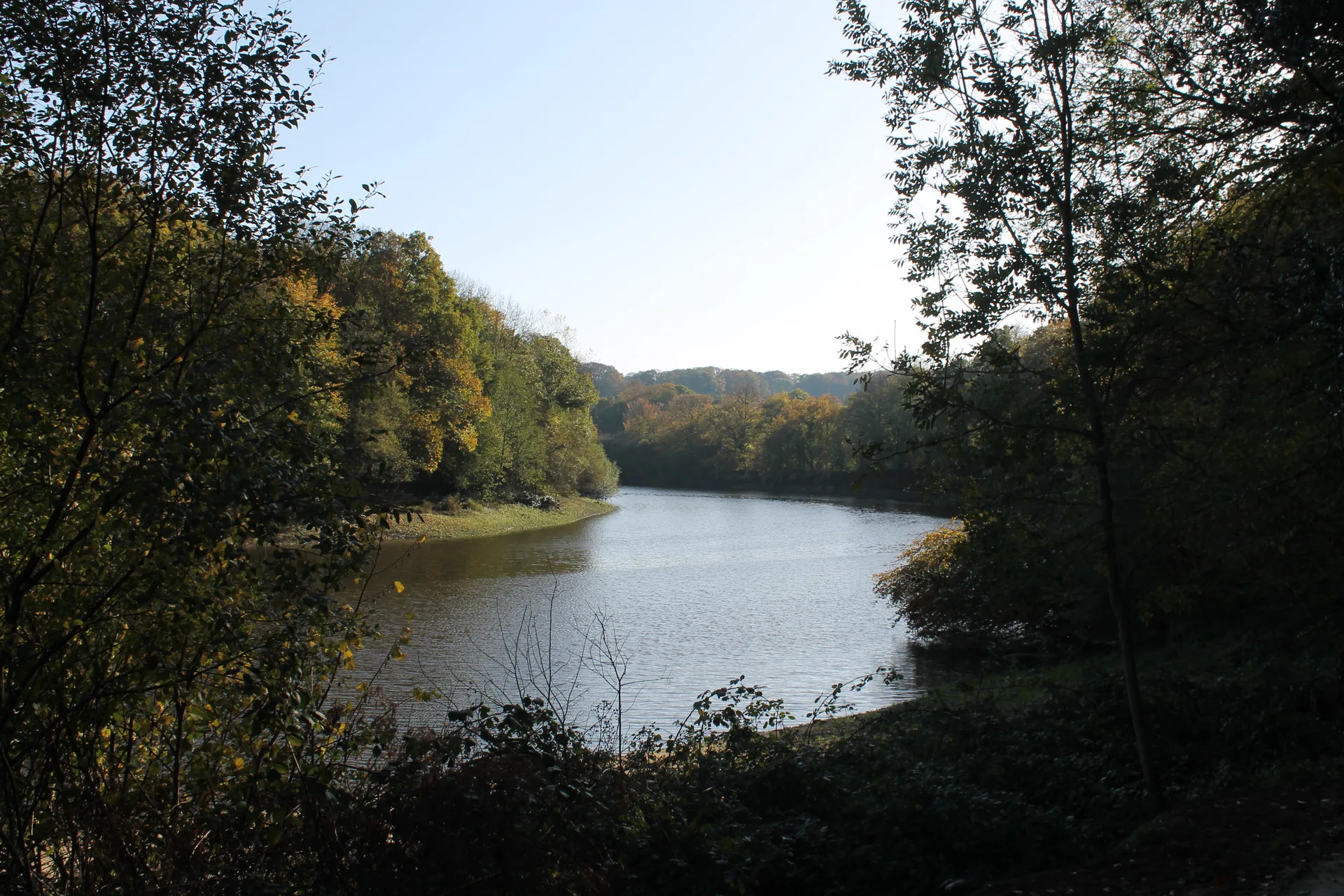 Etang de Gourveau à Le Bodéo — À 462 m du lac