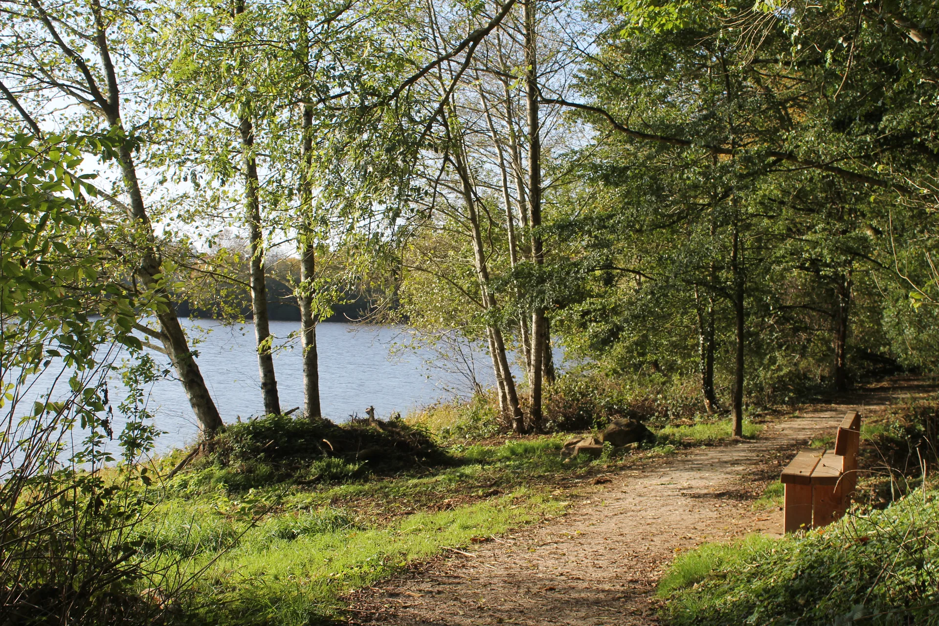 Etang de Gourveau à Le Bodéo — À 500 m du lac