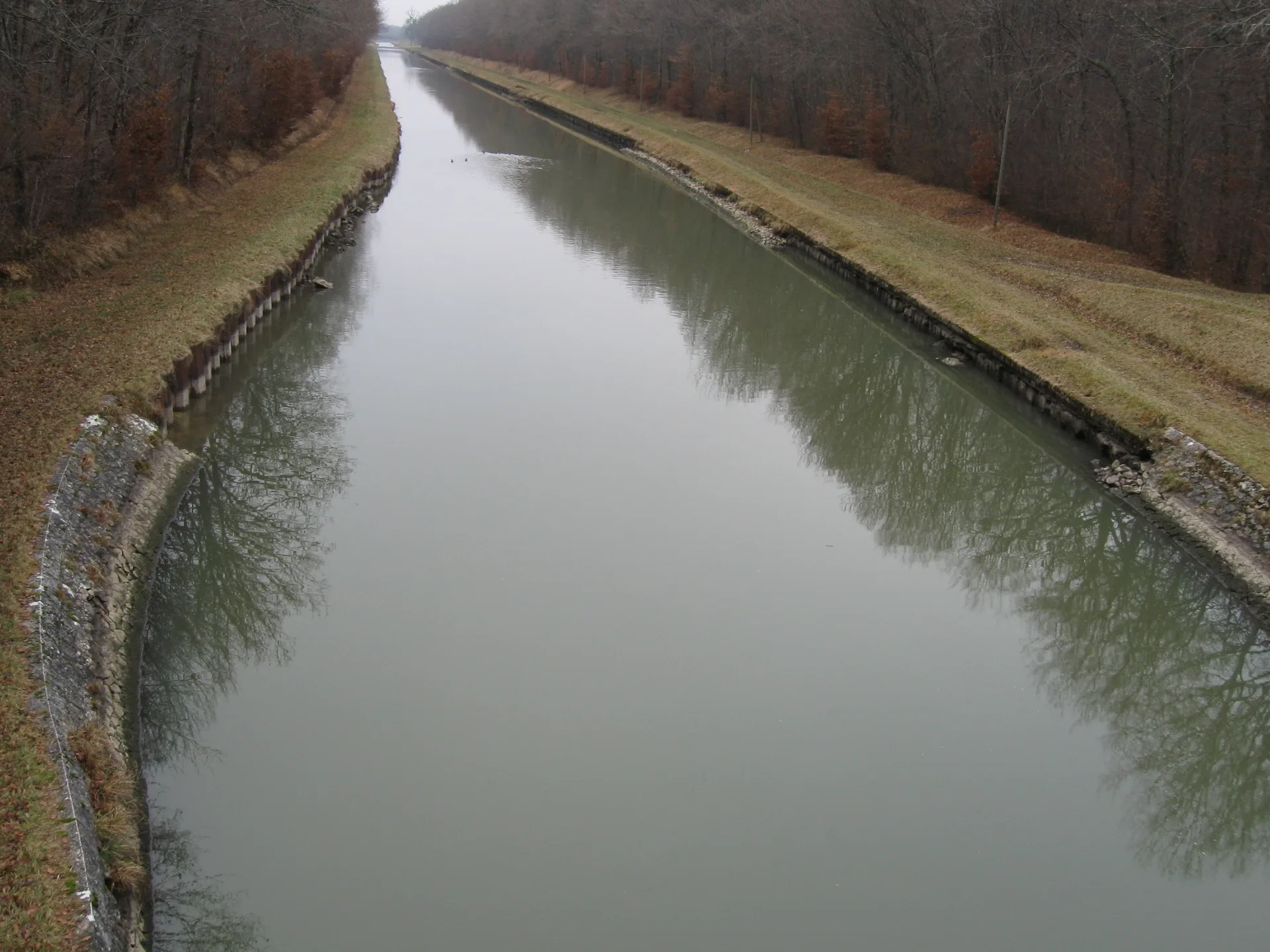 Etang de Grand Ru à Ouzouer-sur-Trézée — À 3,1 km du lac