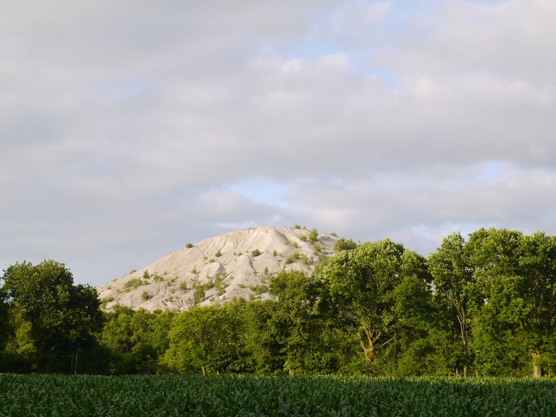 Etang de Gruellau à Treffieux — À 4,7 km du lac