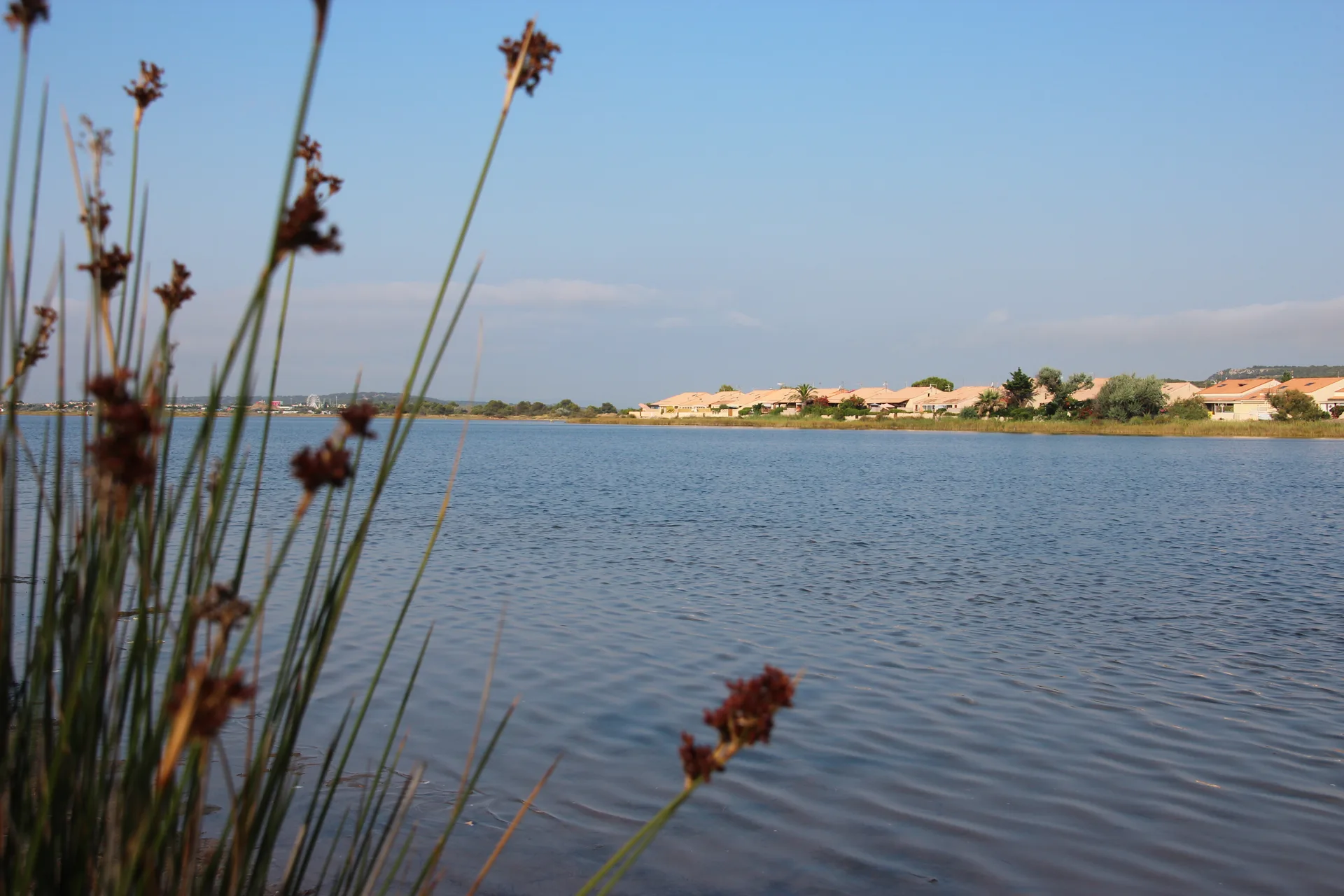Étang de Gruissan — À 4,2 km du lac