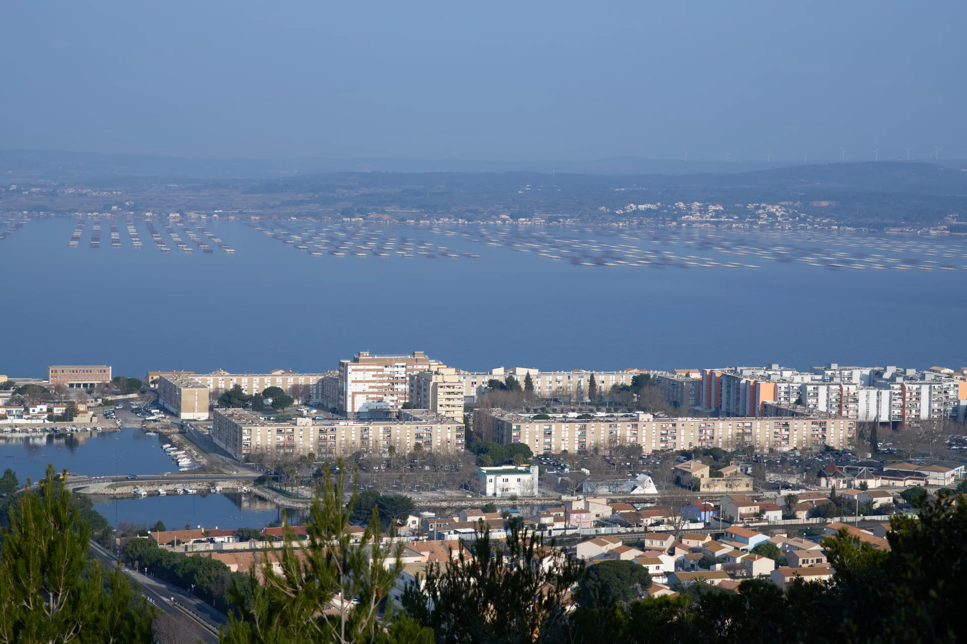 Étang de Gruissan — À 2,5 km du lac