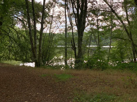 Etang de Guedelon