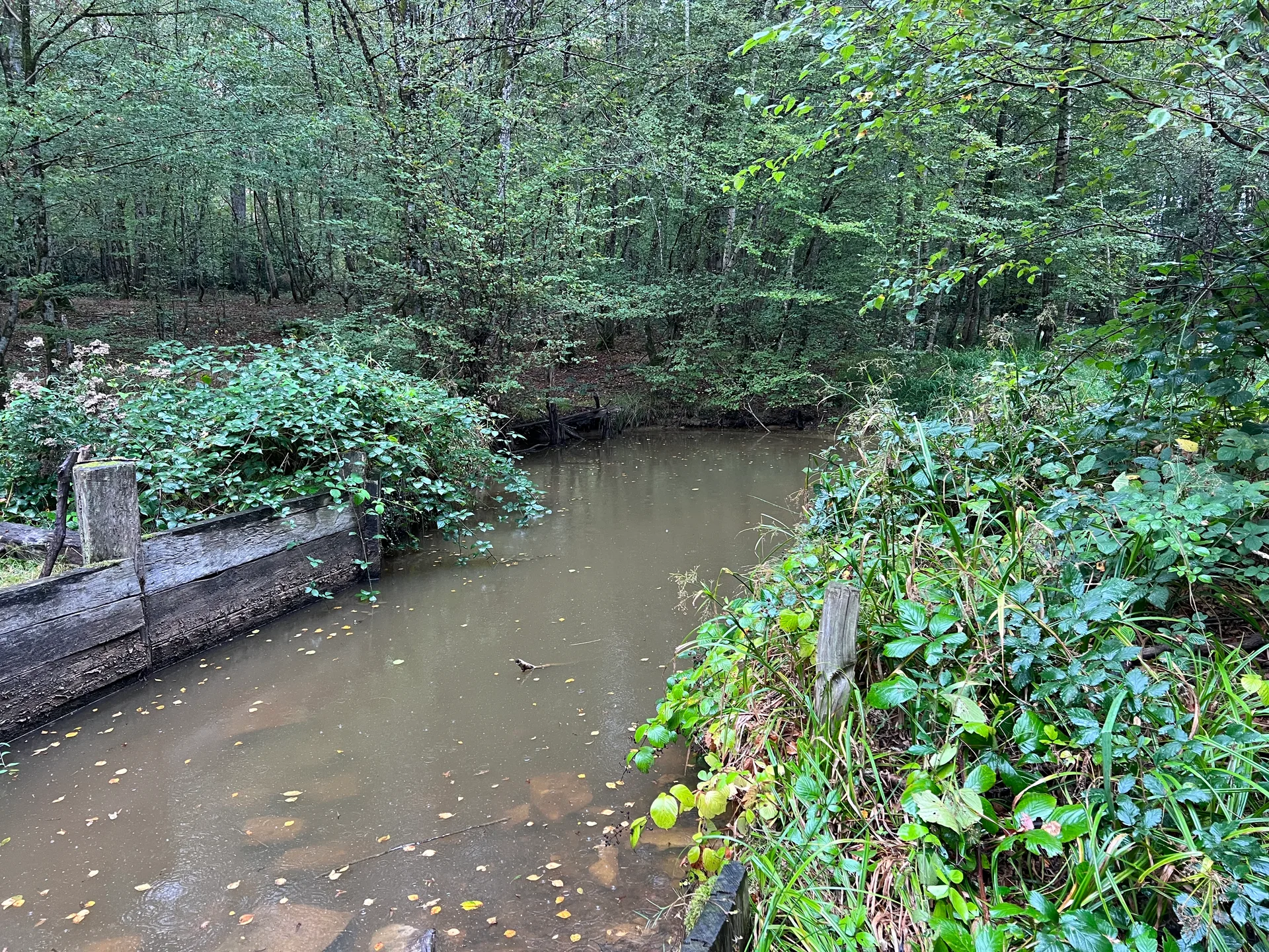 Etang de Guedelon à Treigny-Perreuse-Sainte-Colombe — Sur le lac