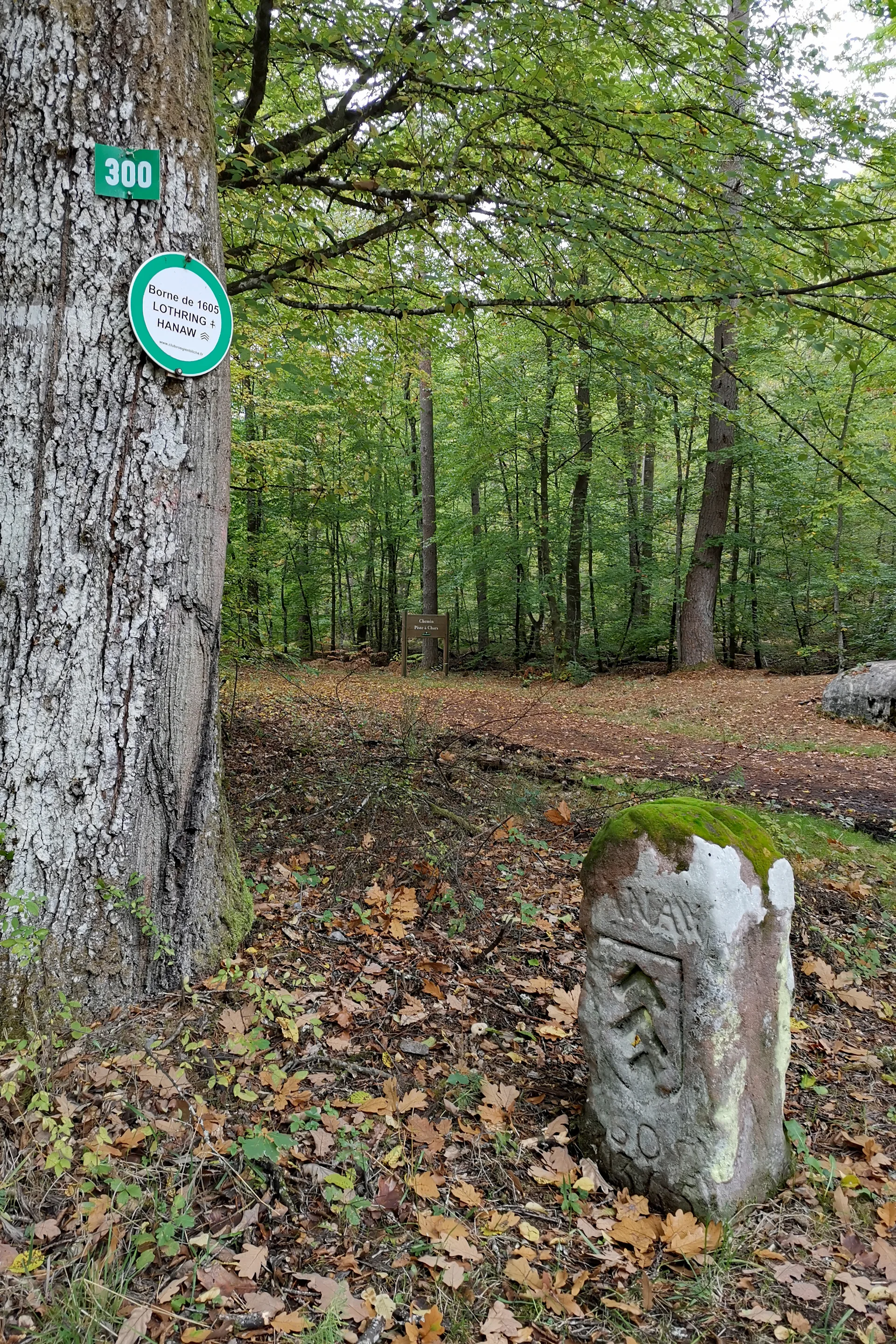 Étang de Hanau à Philippsbourg — À 1,2 km du lac