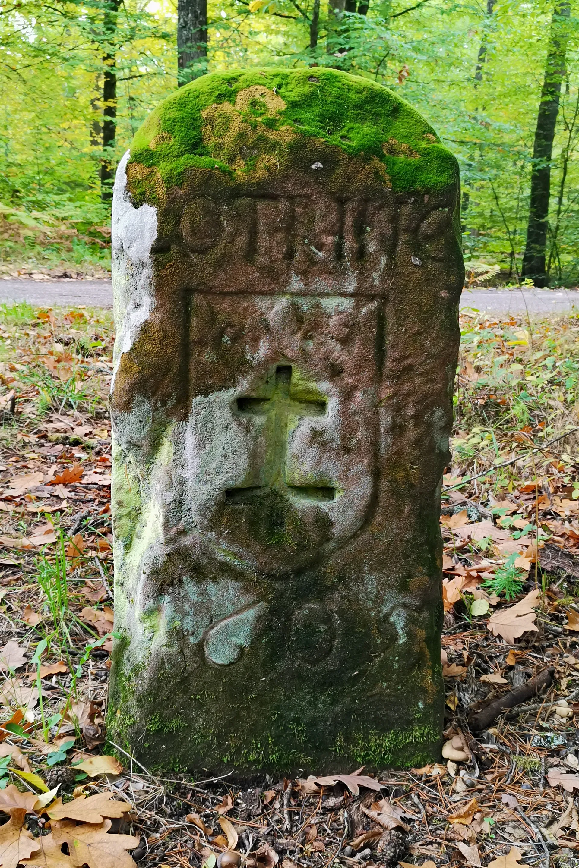 Étang de Hanau à Philippsbourg — À 1,2 km du lac