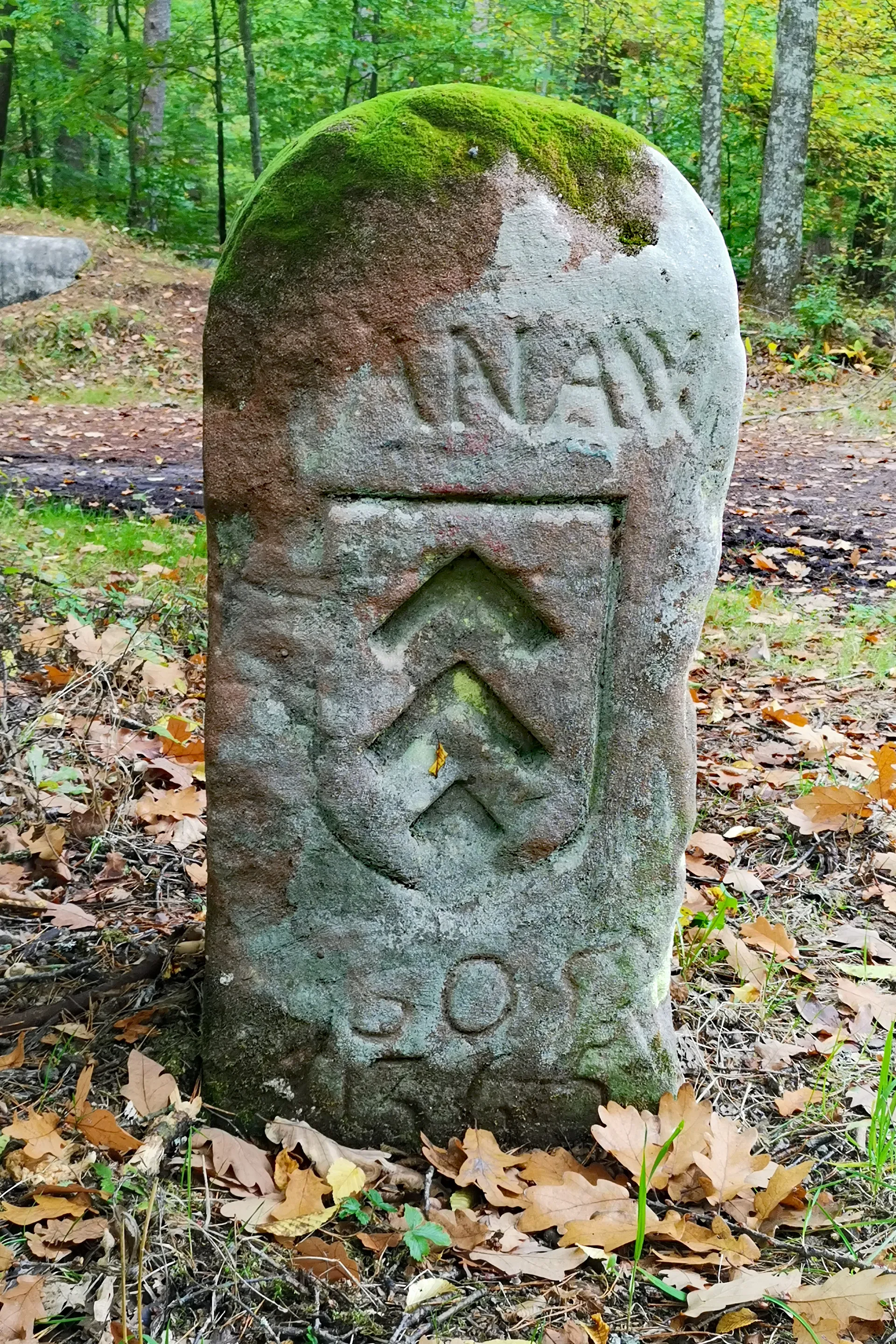Étang de Hanau à Philippsbourg — À 1,2 km du lac