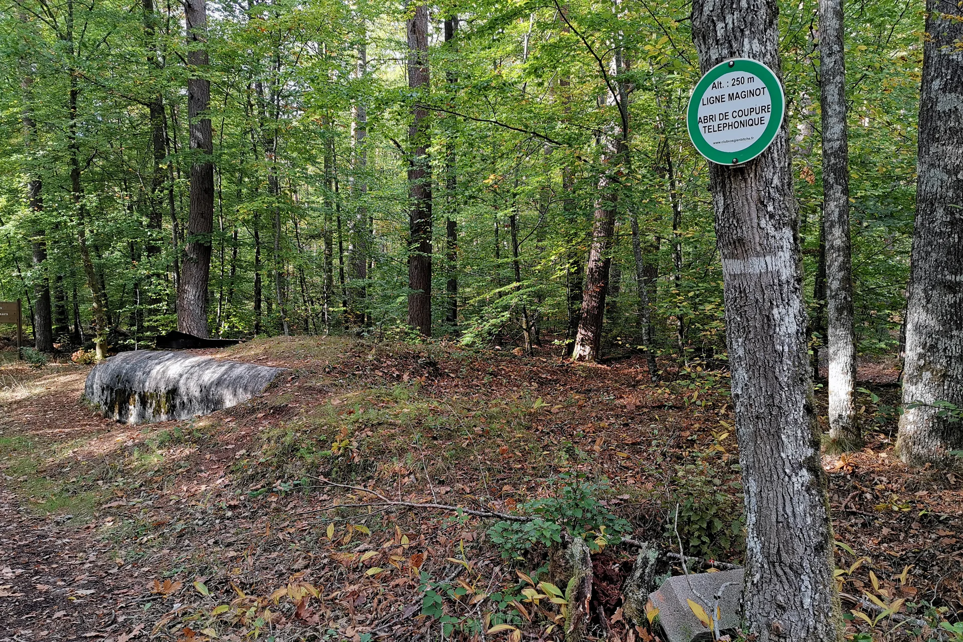 Étang de Hanau à Philippsbourg — À 1,2 km du lac