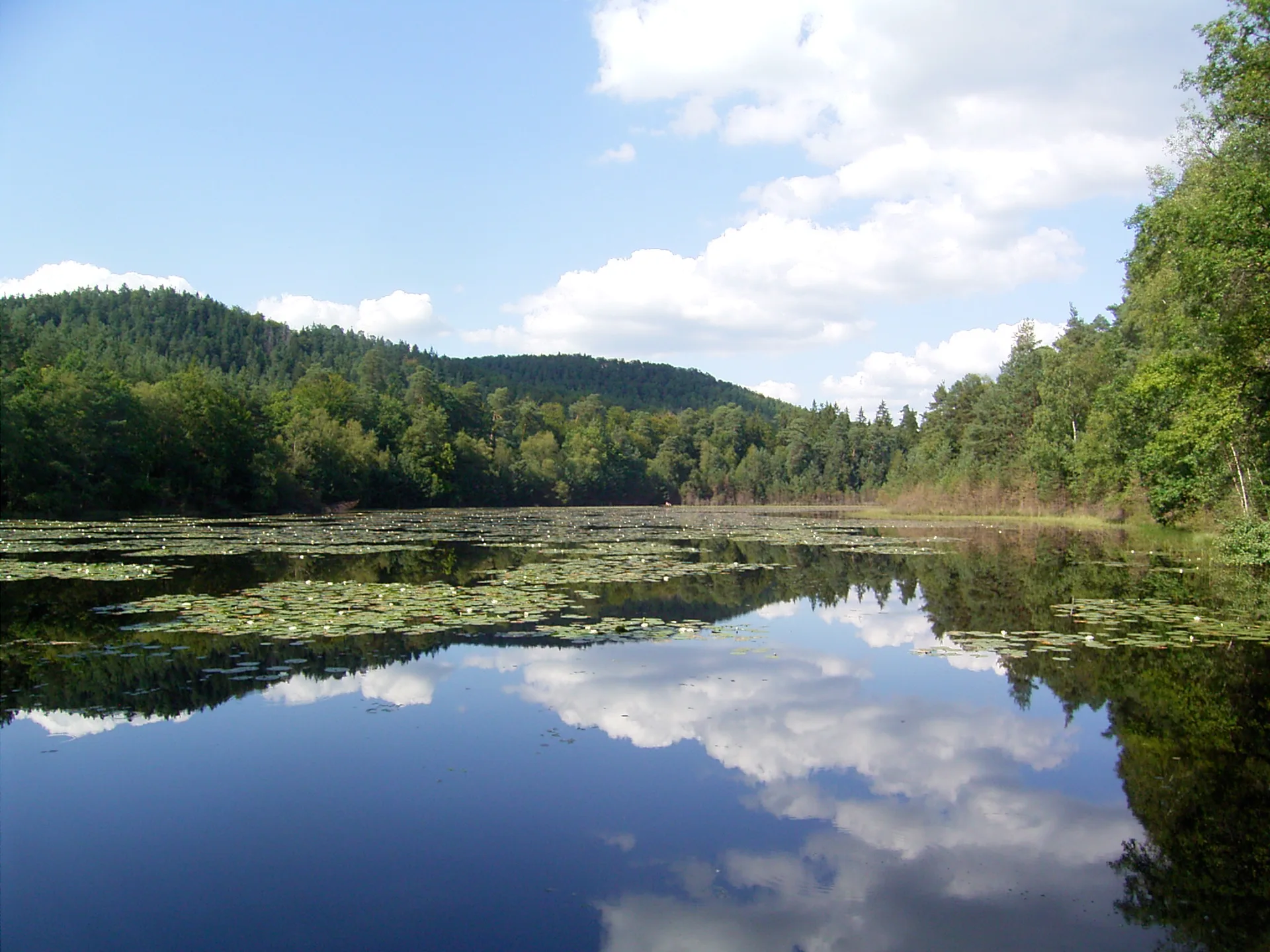 Étang de Hanau à Philippsbourg — À 1,3 km du lac