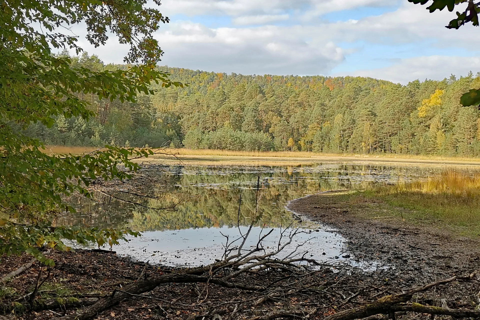 Étang de Hanau à Philippsbourg — À 1,3 km du lac