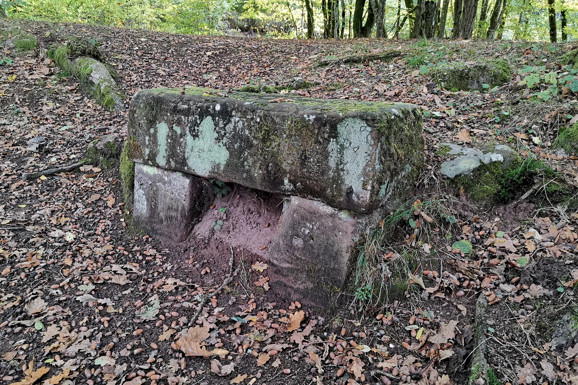 Étang de Hanau à Philippsbourg — À 1,4 km du lac
