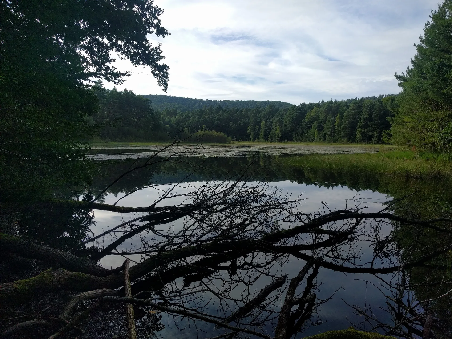 Étang de Hanau à Philippsbourg — À 1,4 km du lac