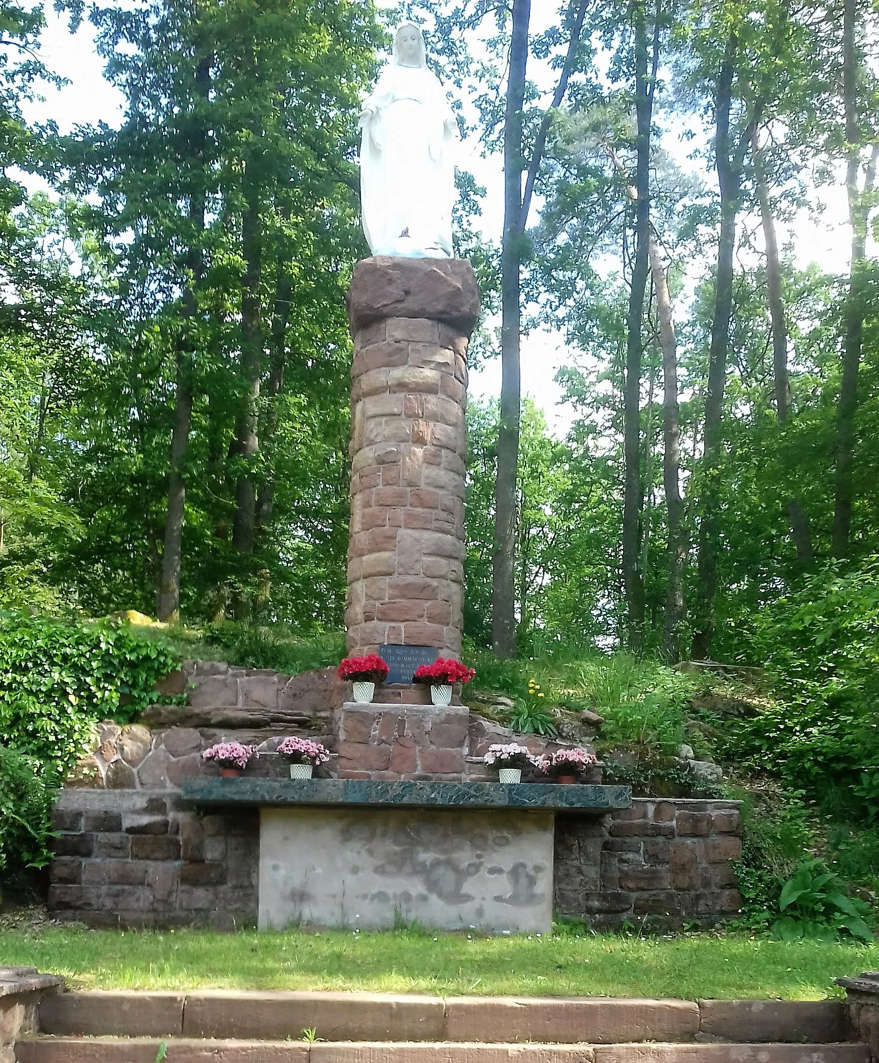Étang de Hanau à Philippsbourg — À 435 m du lac