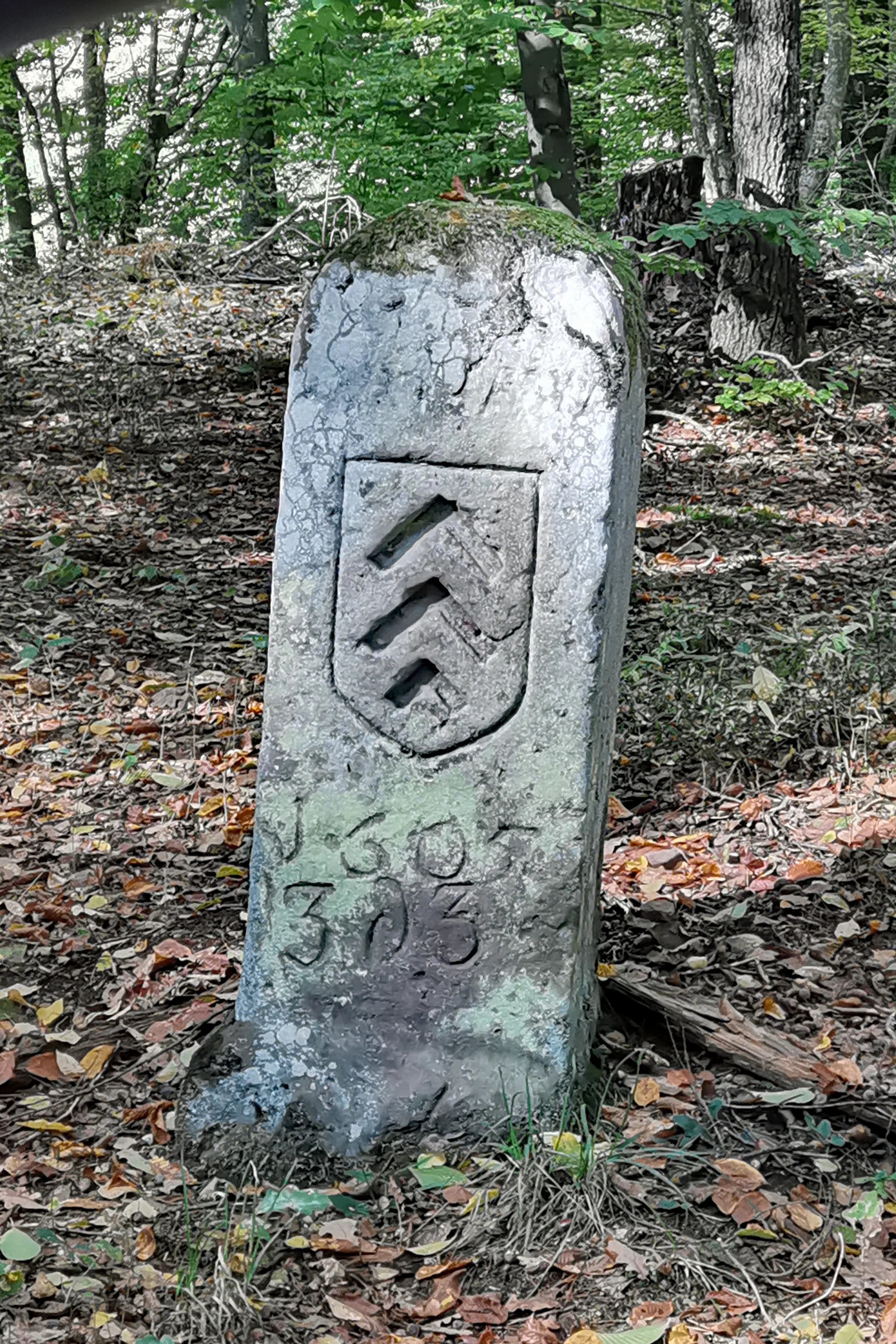 Étang de Hanau à Philippsbourg — À 3,0 km du lac