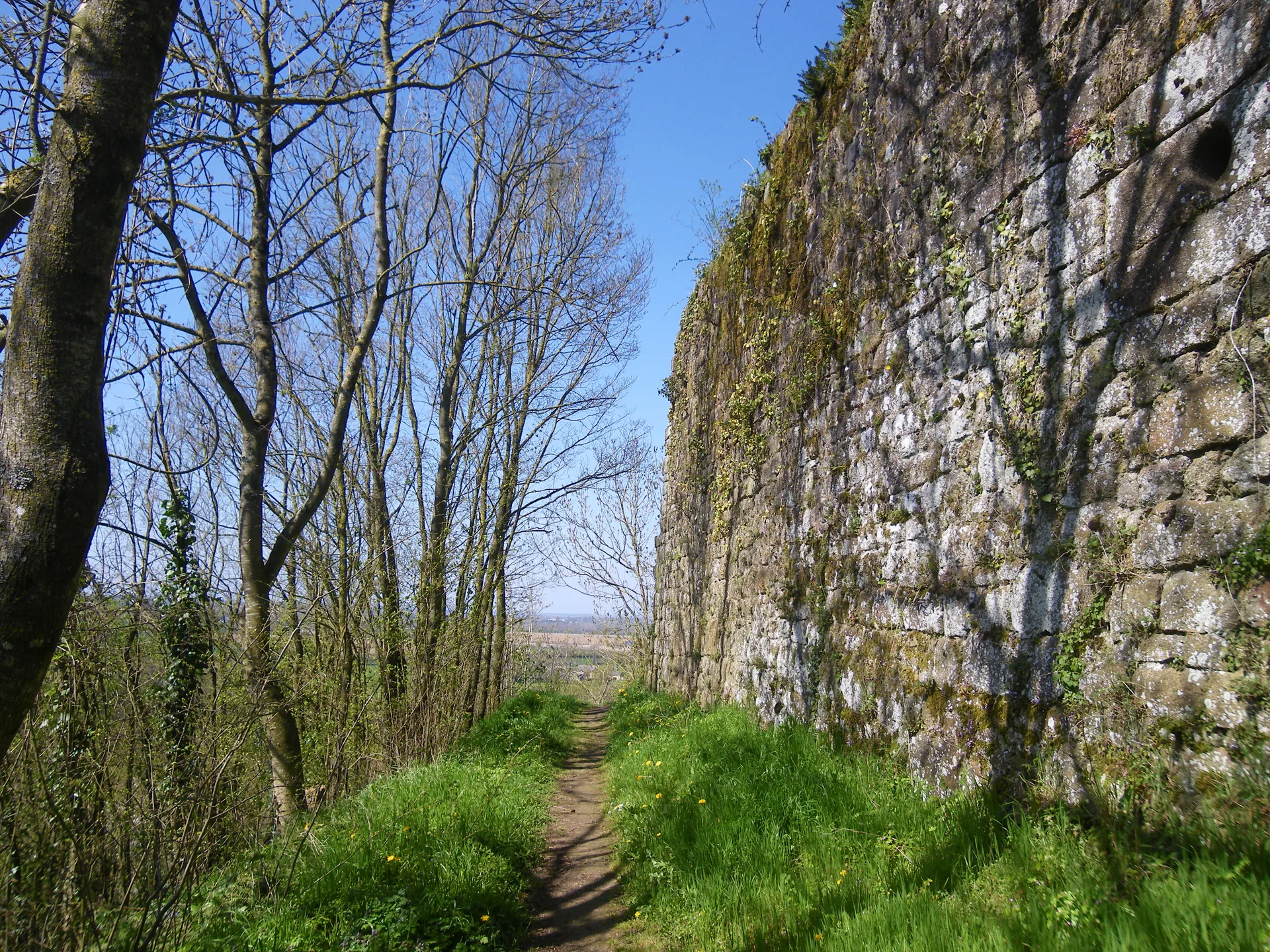 Etang de Hede à Saint-Symphorien — À 1,1 km du lac