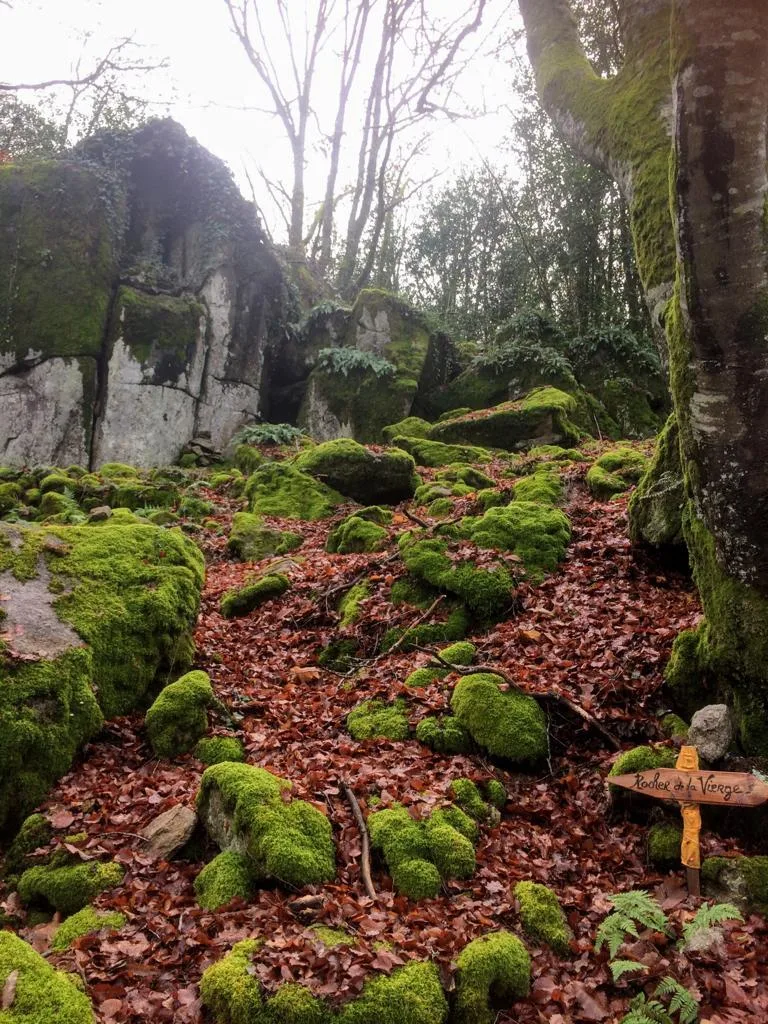 Etang de Jarnages à Jarnages — À 2,2 km du lac