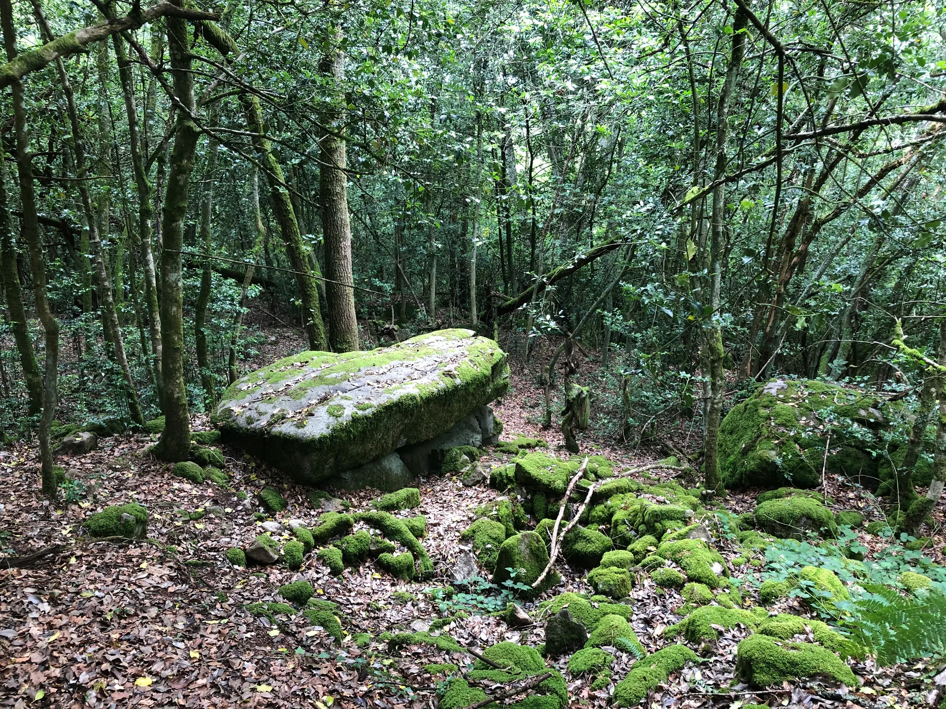 Etang de Jarnages à Jarnages — À 2,2 km du lac