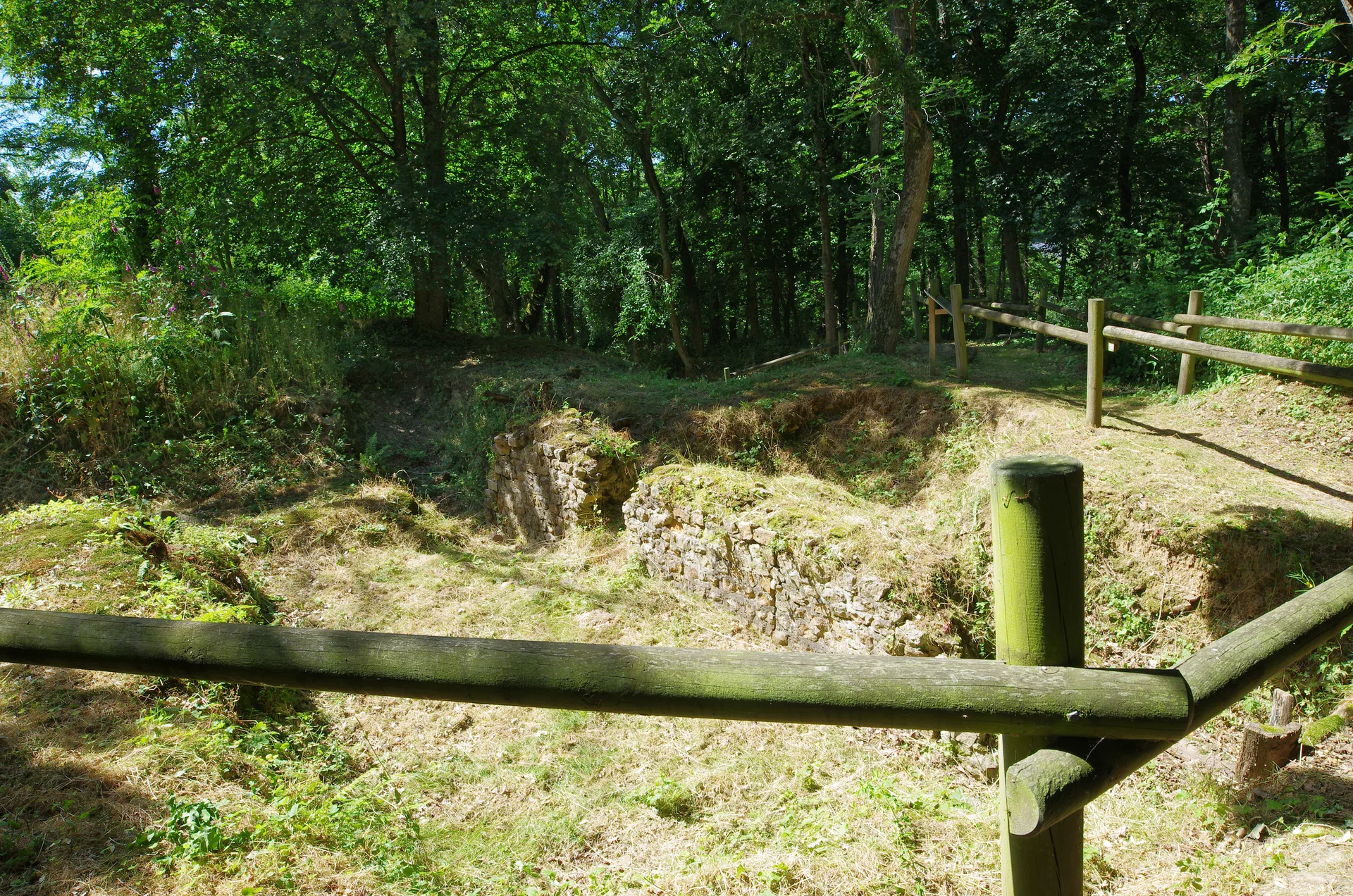 Etang de Joreau à Gennes-Val-de-Loire — À 1,4 km du lac