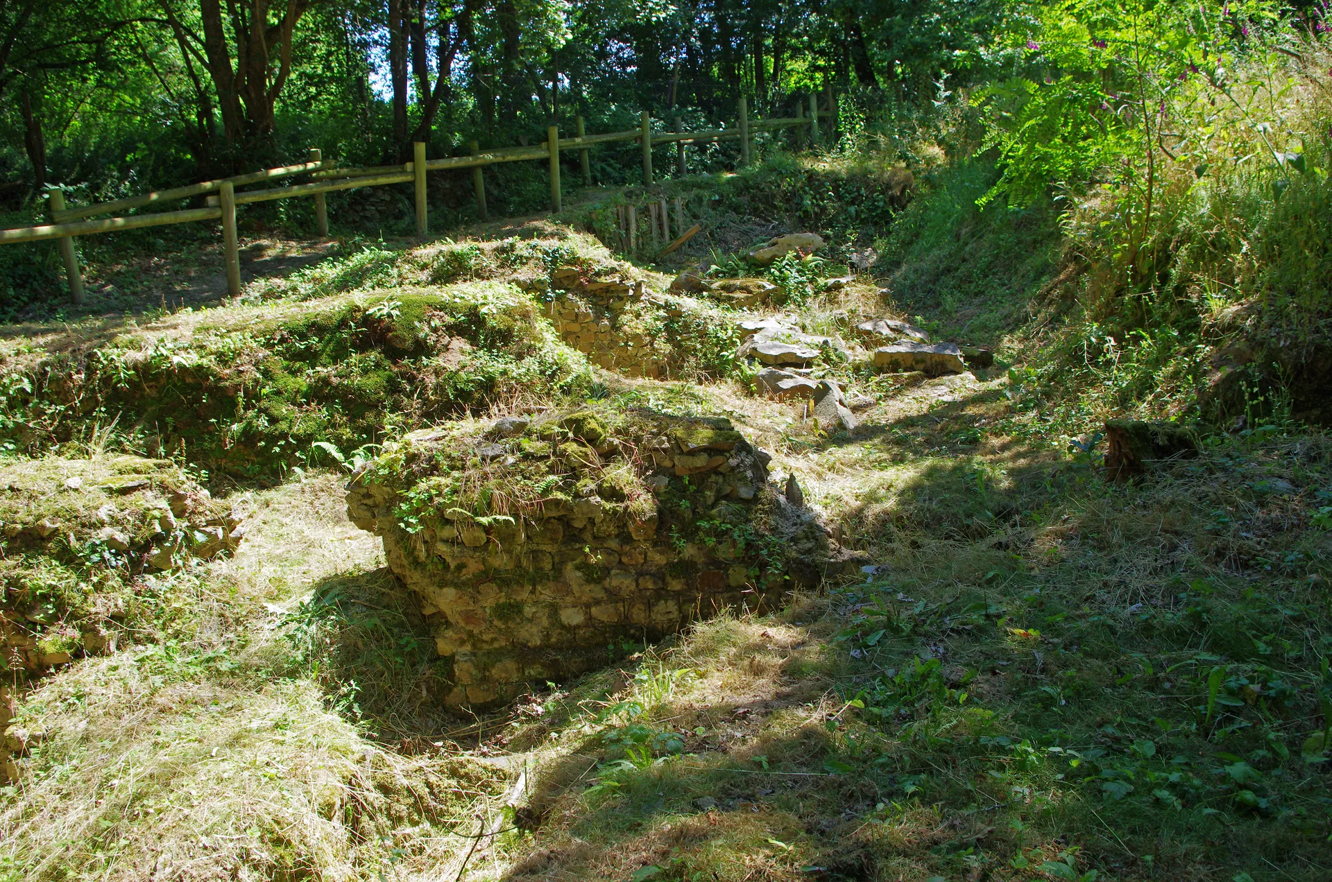 Etang de Joreau à Gennes-Val-de-Loire — À 1,4 km du lac