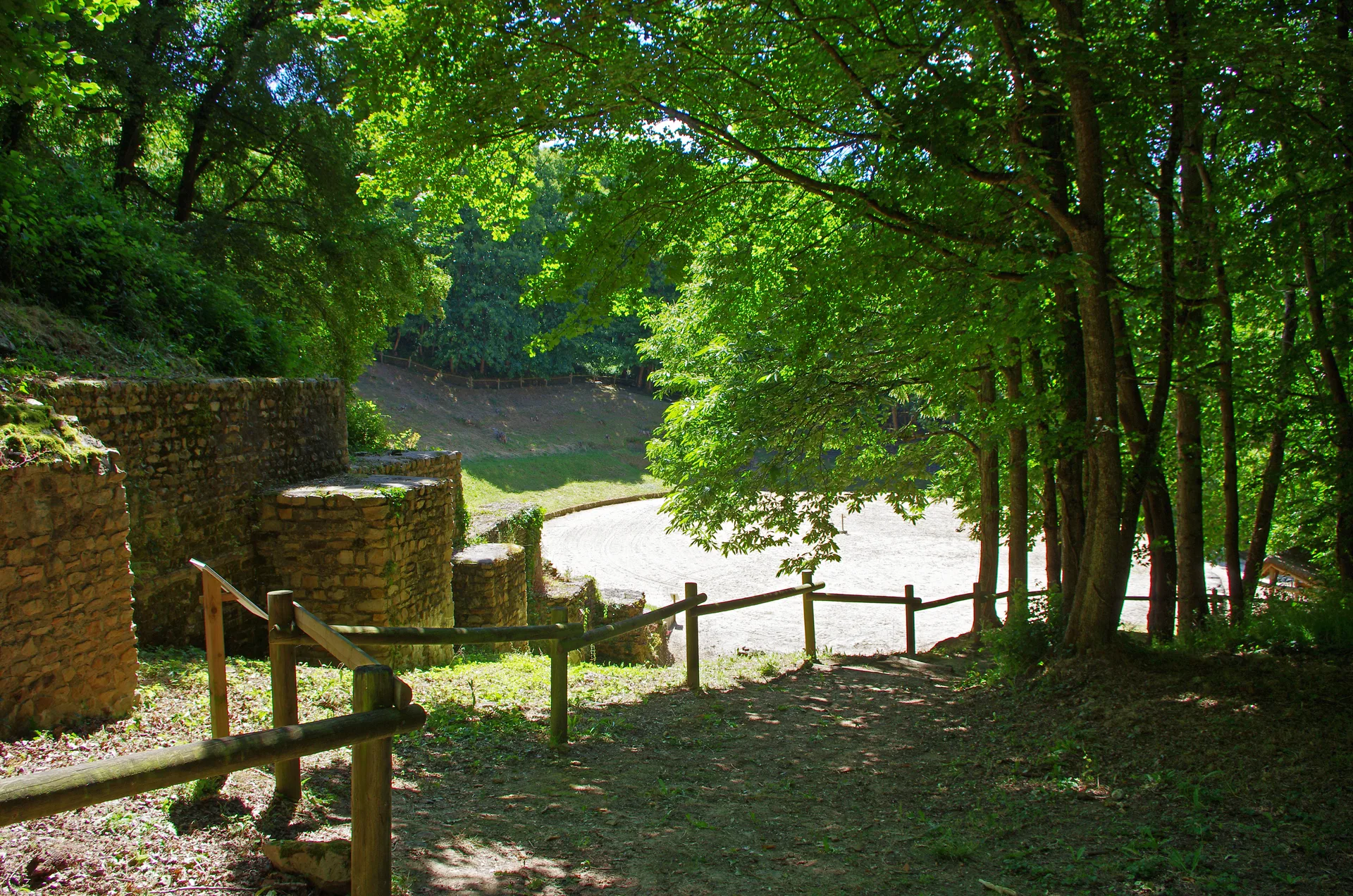 Etang de Joreau à Gennes-Val-de-Loire — À 1,4 km du lac
