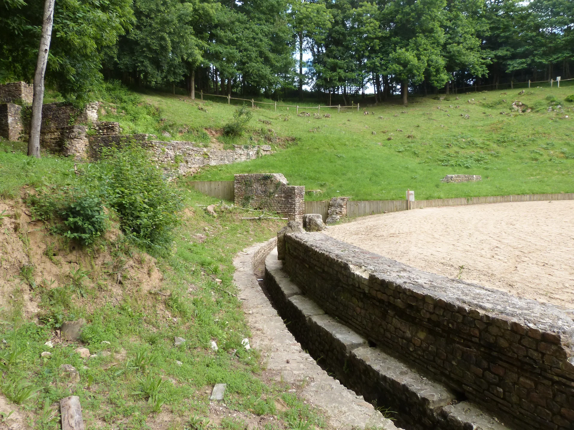 Etang de Joreau à Gennes-Val-de-Loire — À 1,5 km du lac