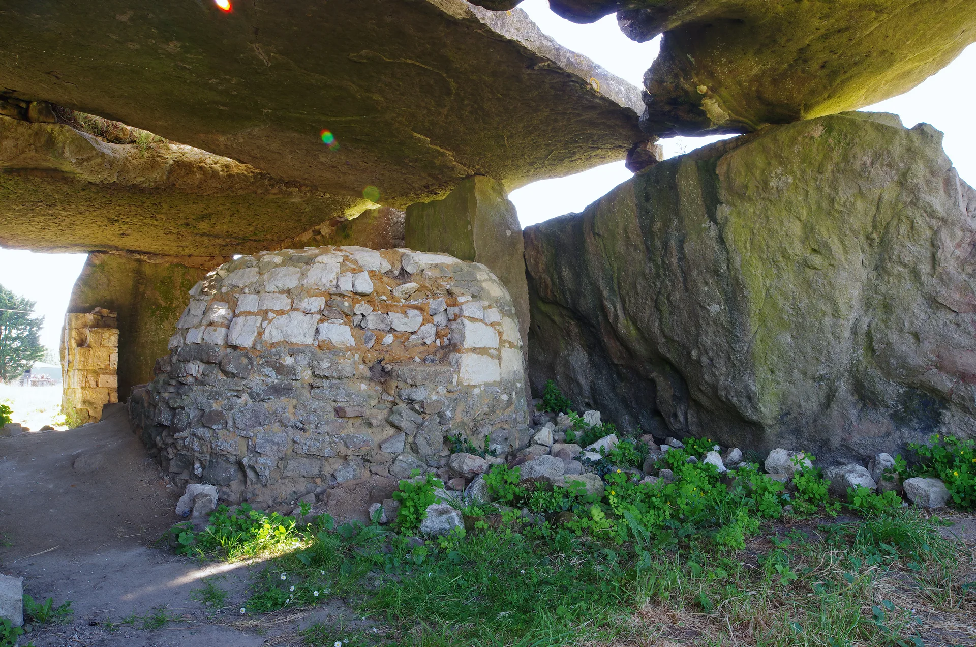 Etang de Joreau à Gennes-Val-de-Loire — À 1,0 km du lac