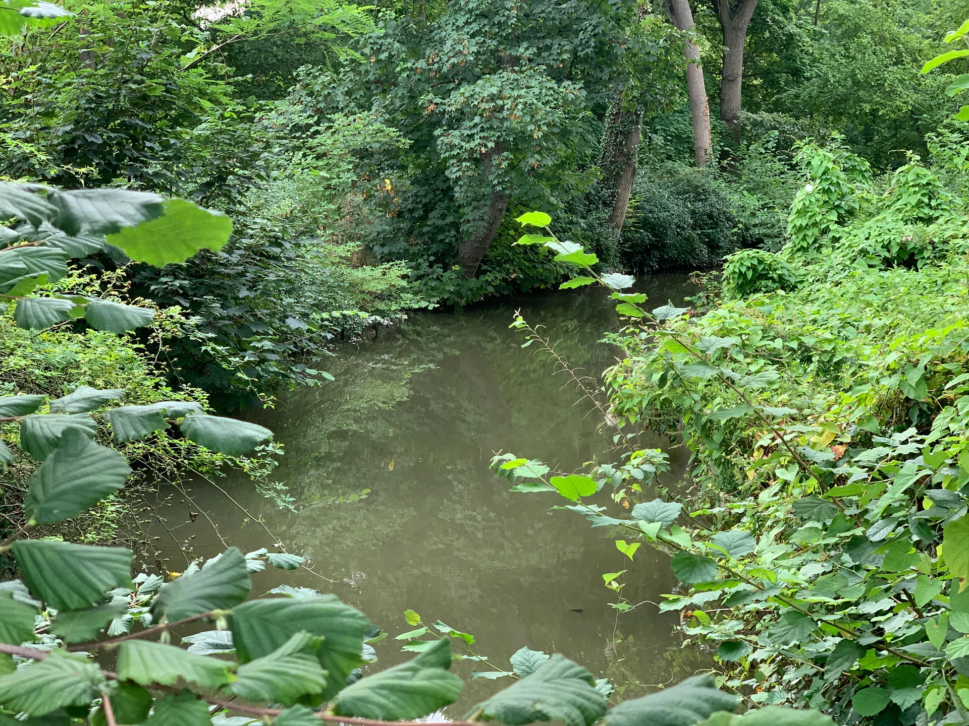 Etang de l'Abbaye à Paris — Sur le lac